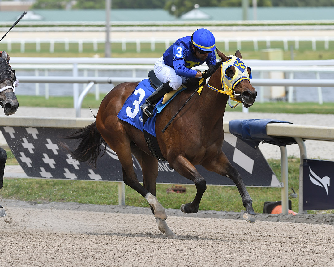 Luna West wins an April 7 maiden race at Gulfstream Park
