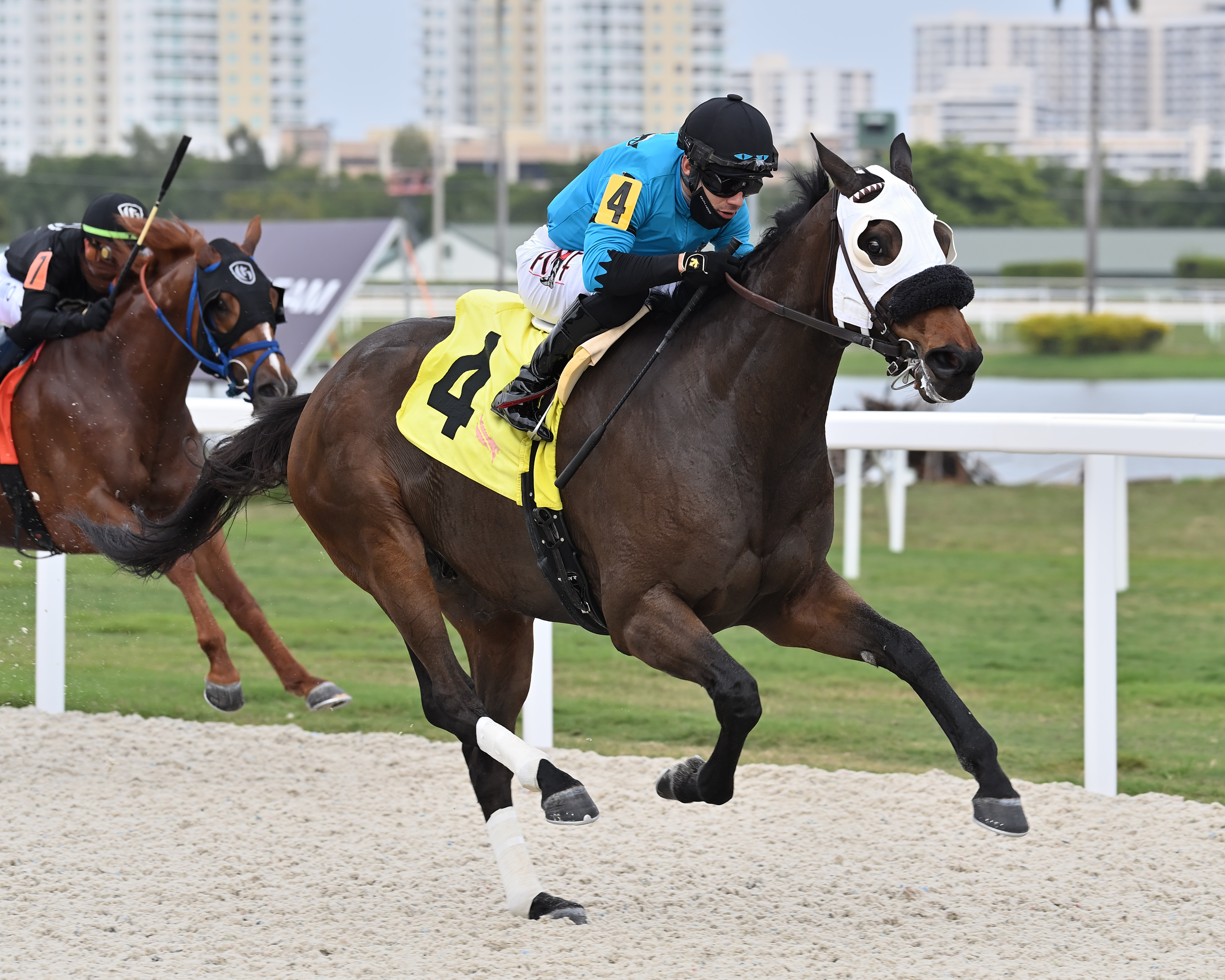 Lure Him In wins Sunshine Turf 1-22-2022