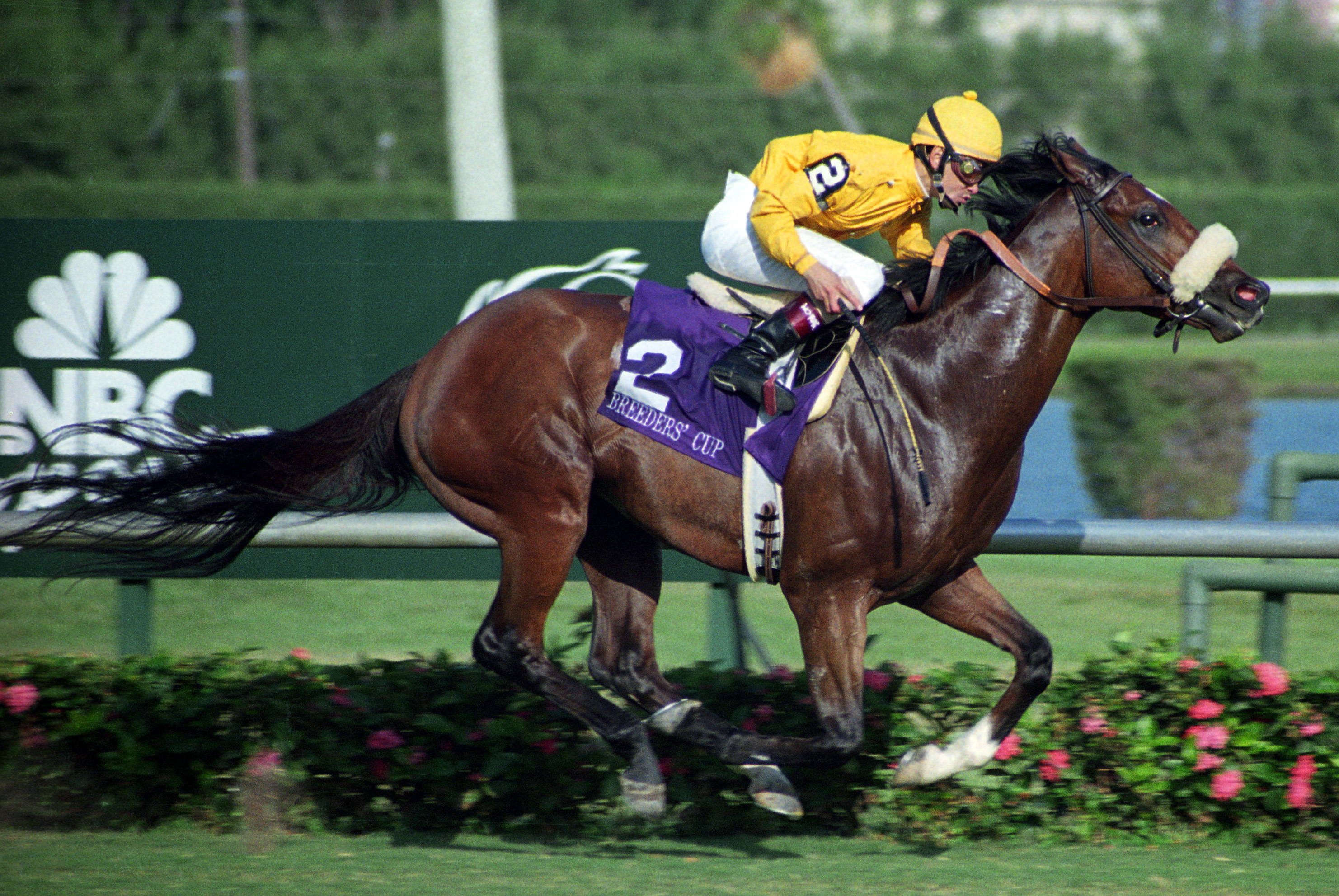 Lure, 1992 Breeders' Cup Mile