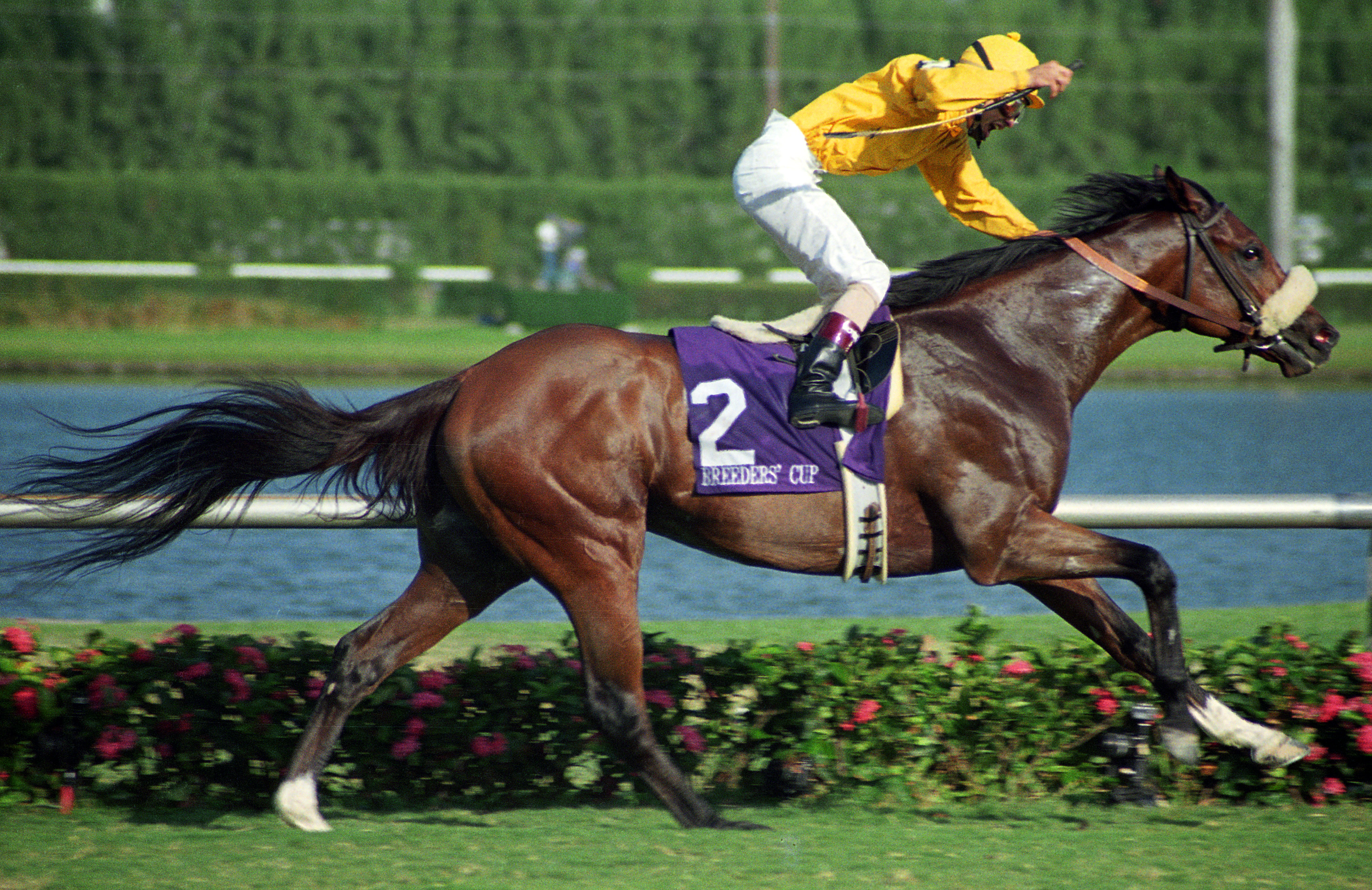 Lure, 1992 BC Mile
