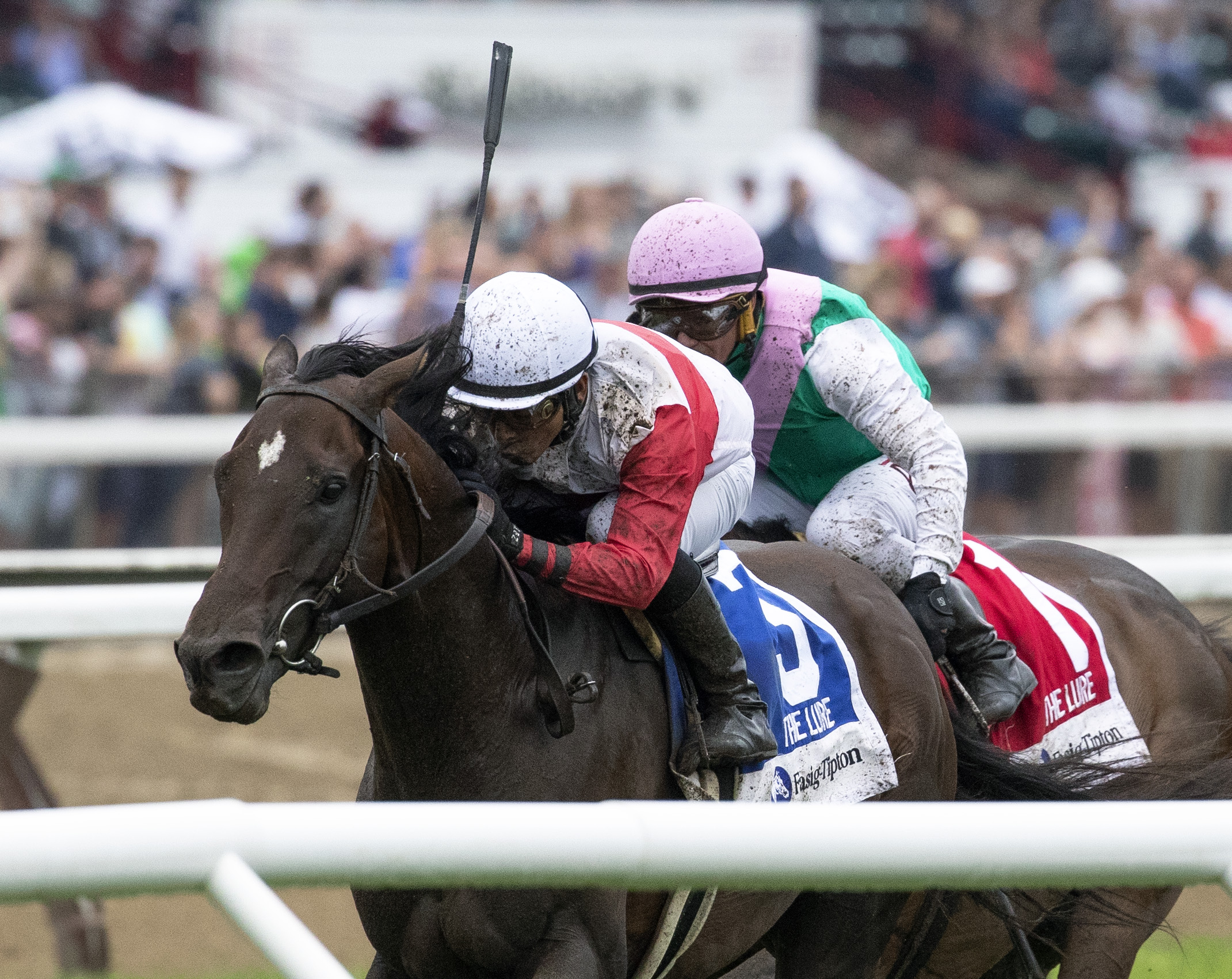 Inspector Lynley wins 2018 Lure
