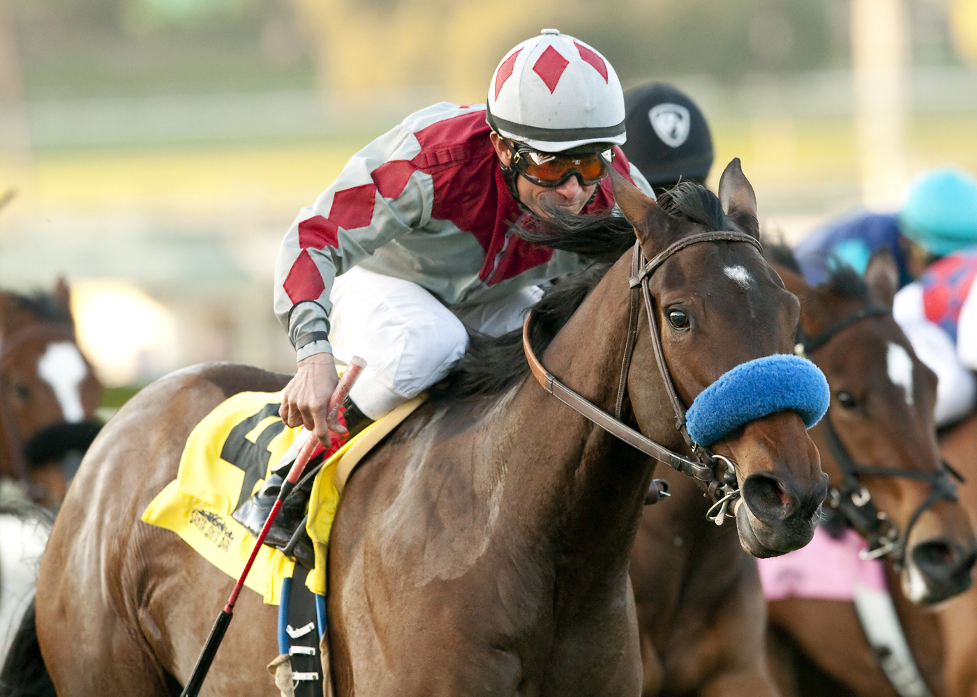 Lutine Belle gives Alex Solis his 5000th win