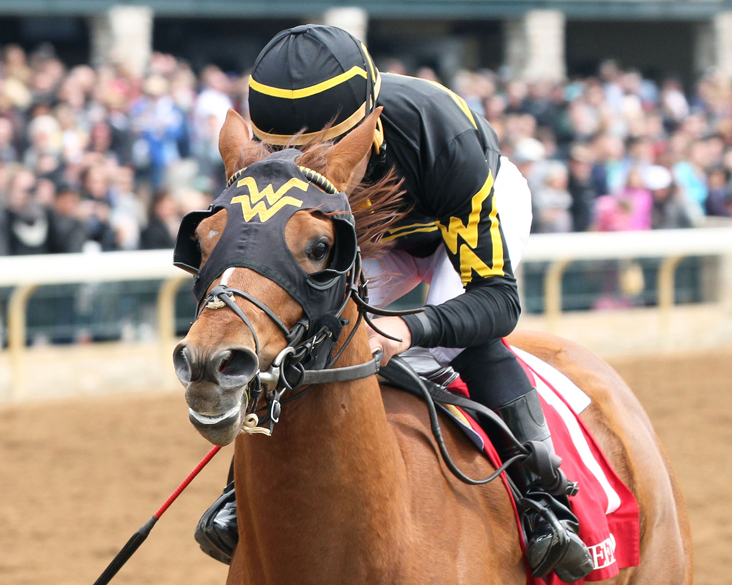 Luv This Lifestyle wins an April 8 maiden