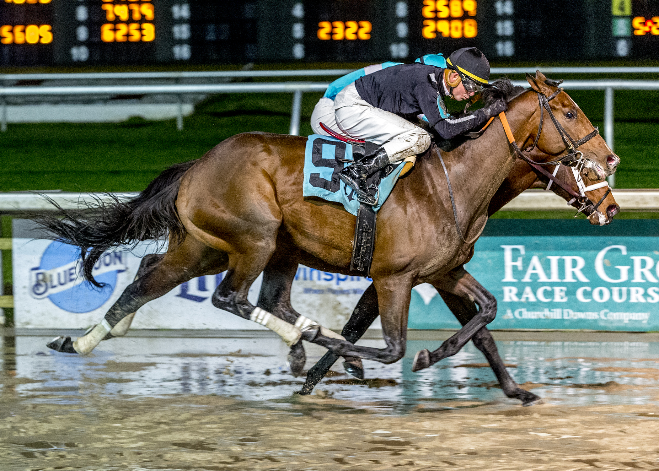 Lynn's Map wins a Fair Grounds allowance on 12.21.19