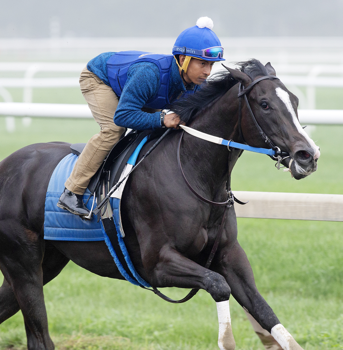 Lyrical Lady trains at Saratoga on Aug. 5