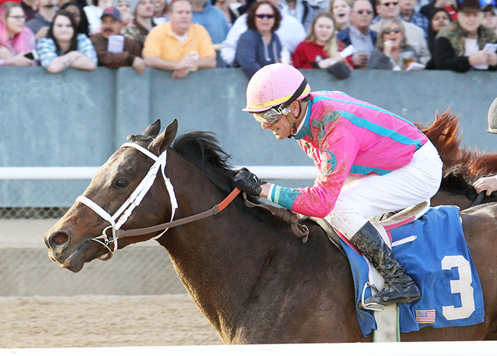 M G Warrior wins a Jan. 26 allowance