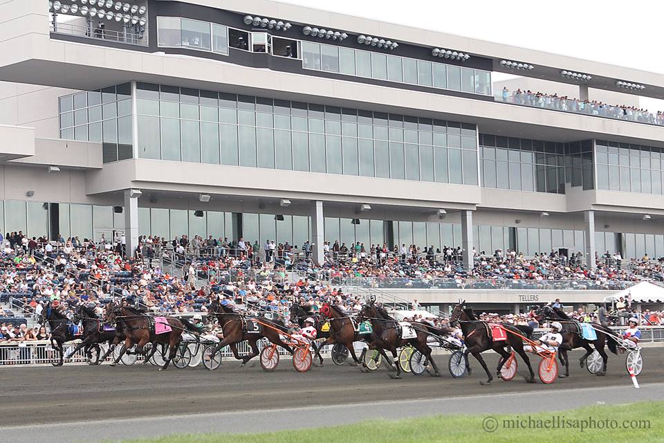 meadowlands hambo shot