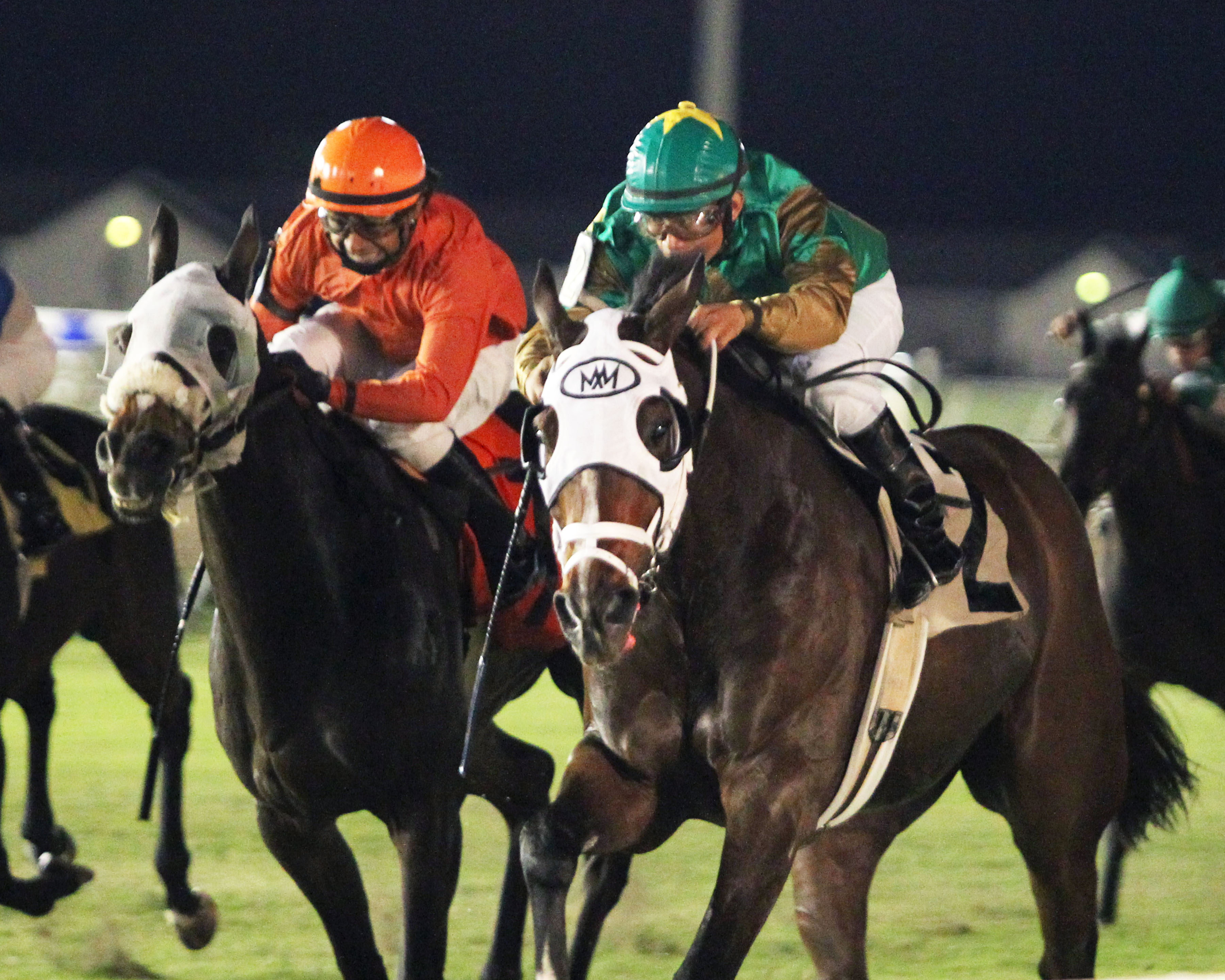 Magna Breeze wins 2014 Texas Hall of Fame