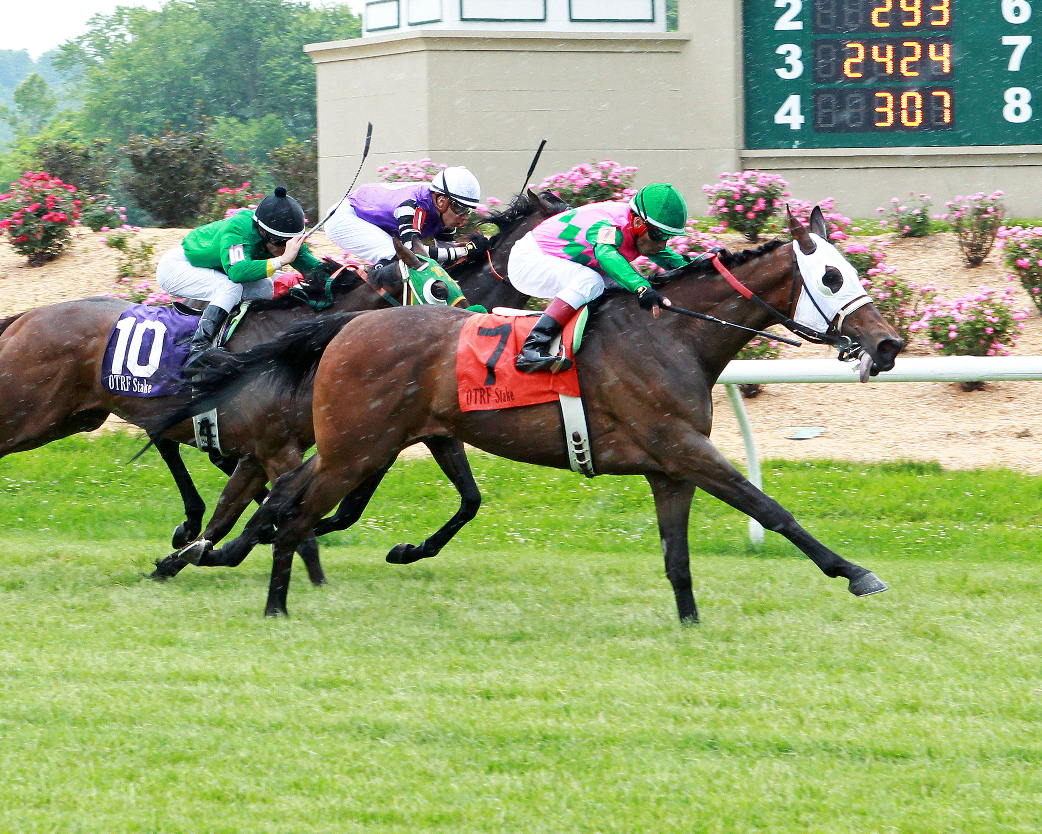 Manga Man wins the 2019 Green Carpet Stakes