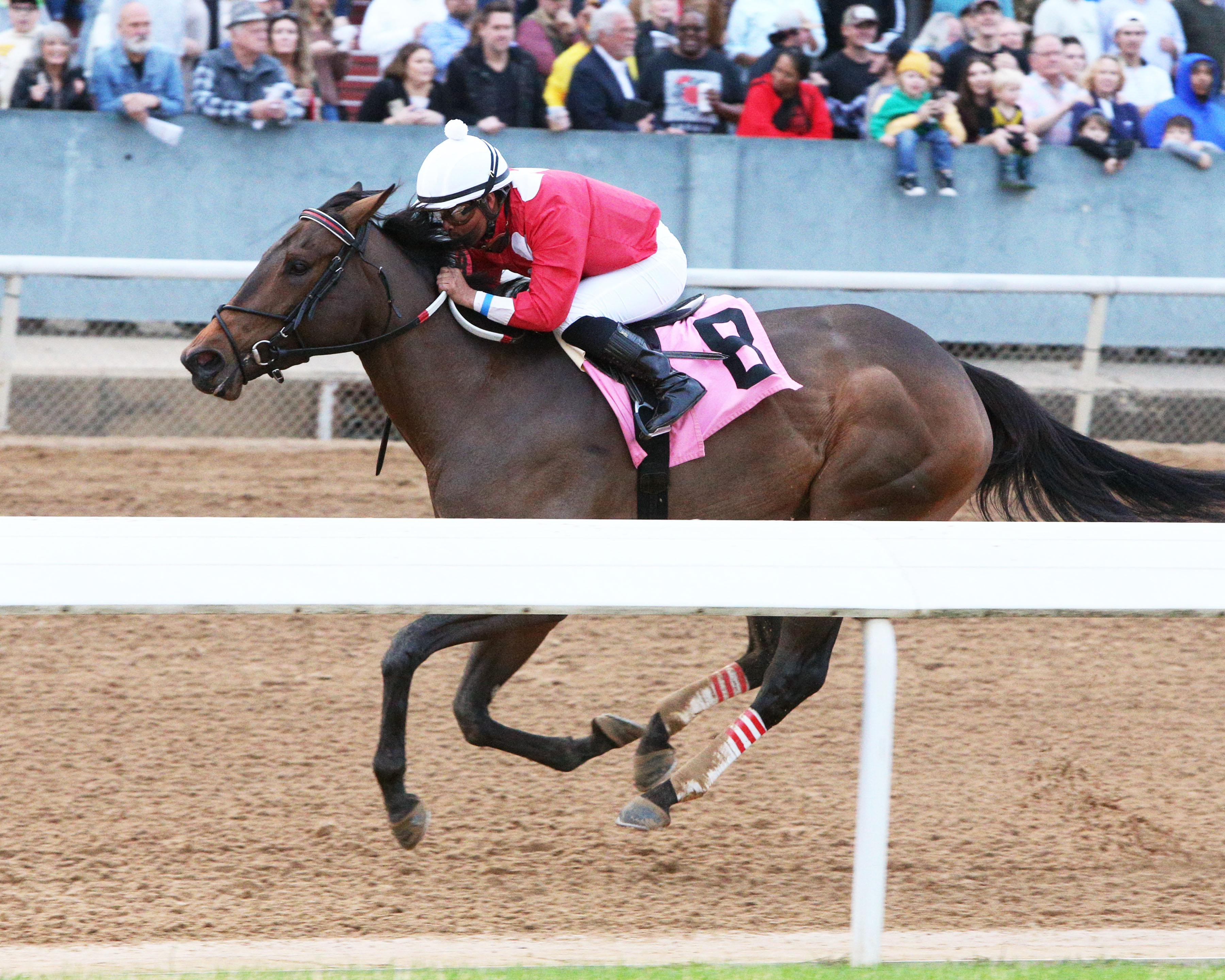 Mariah's Princess wins Mistletoe Stakes 12-4-21
