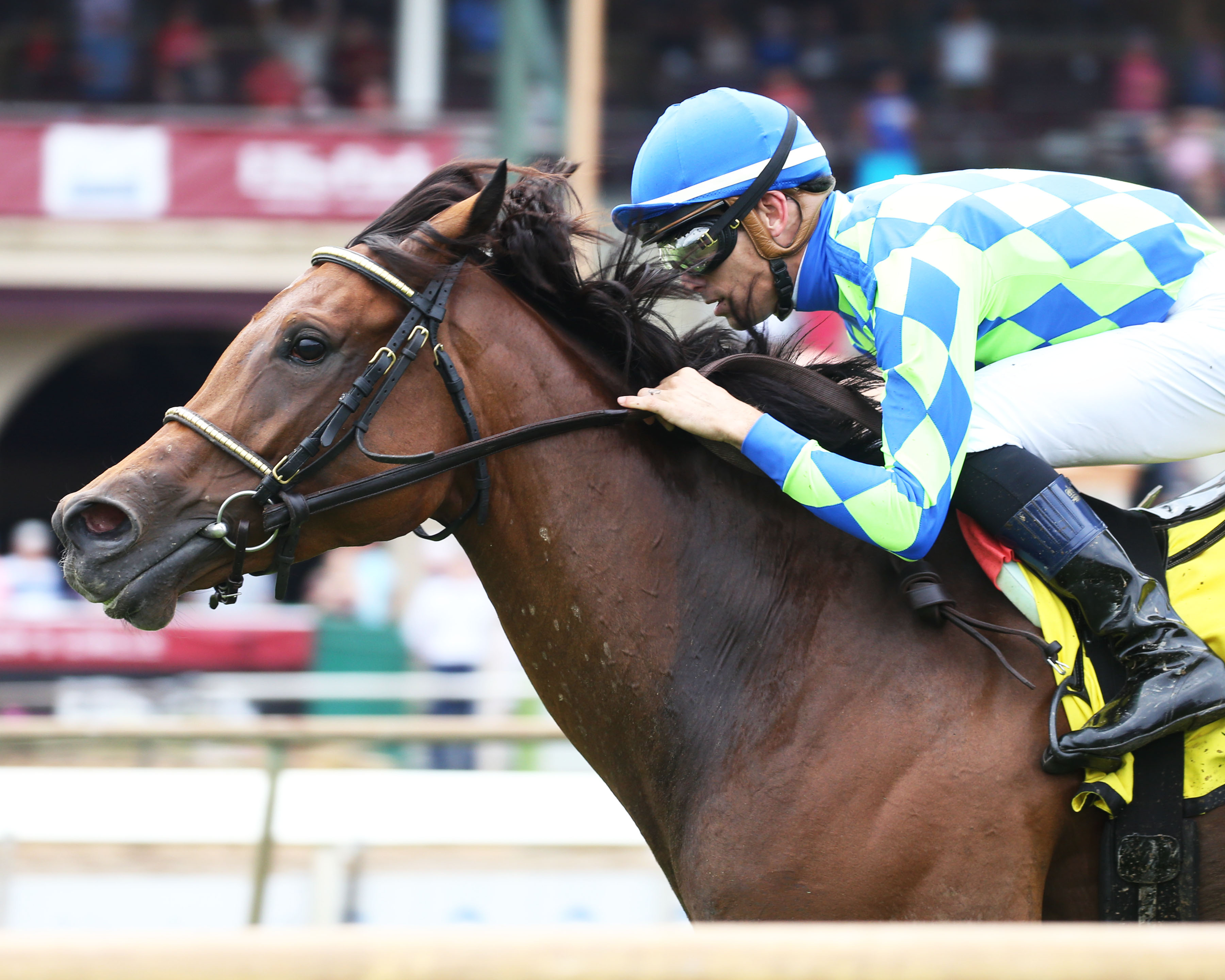 Market Rumor wins Ellis Park Turf 7-17-2022