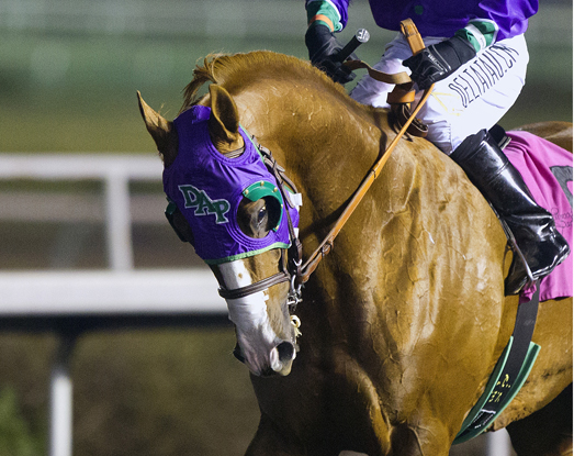 California Chrome marquee