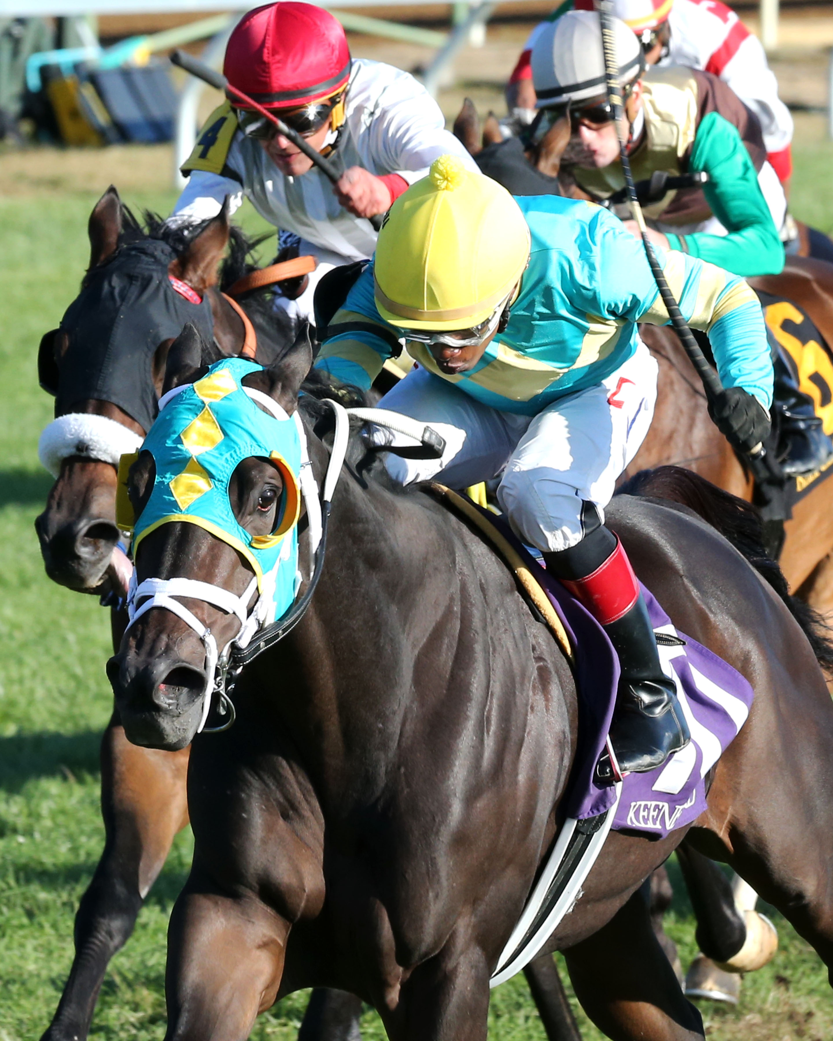 Marzo wins the 2019 Sycamore Stakes