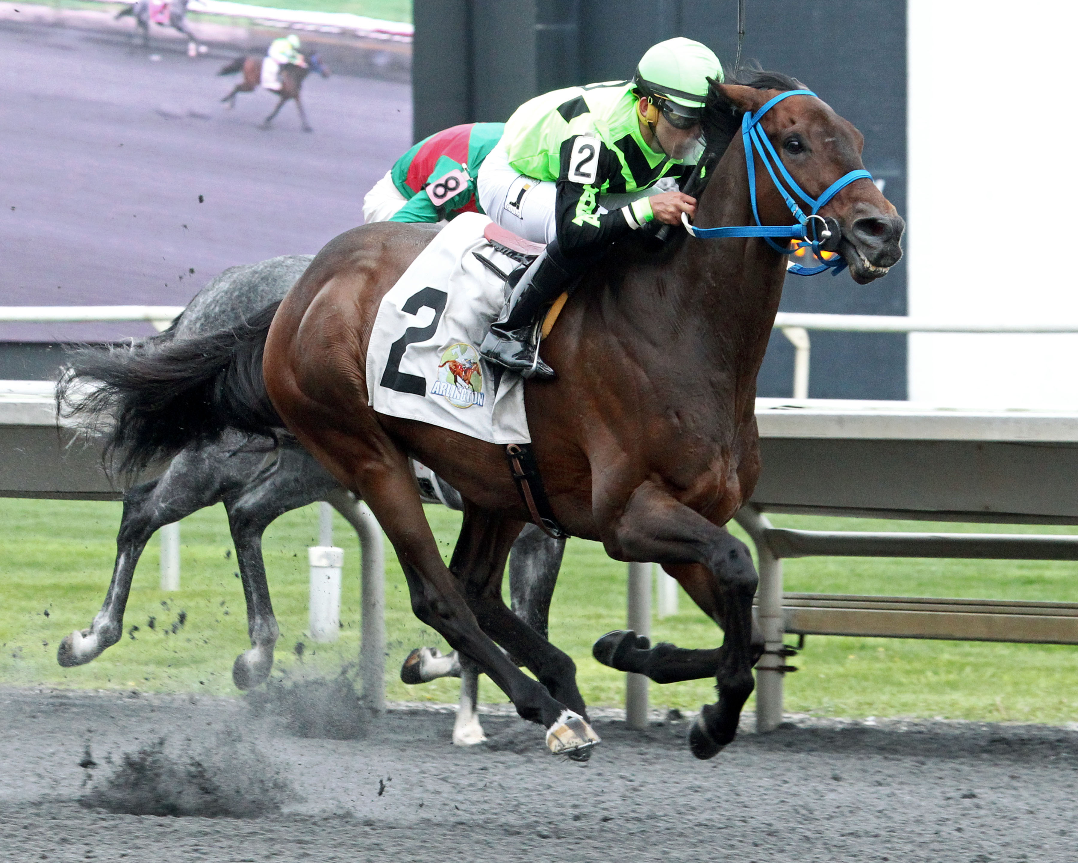 Matrooh wins the 2018 Hanshin Cup