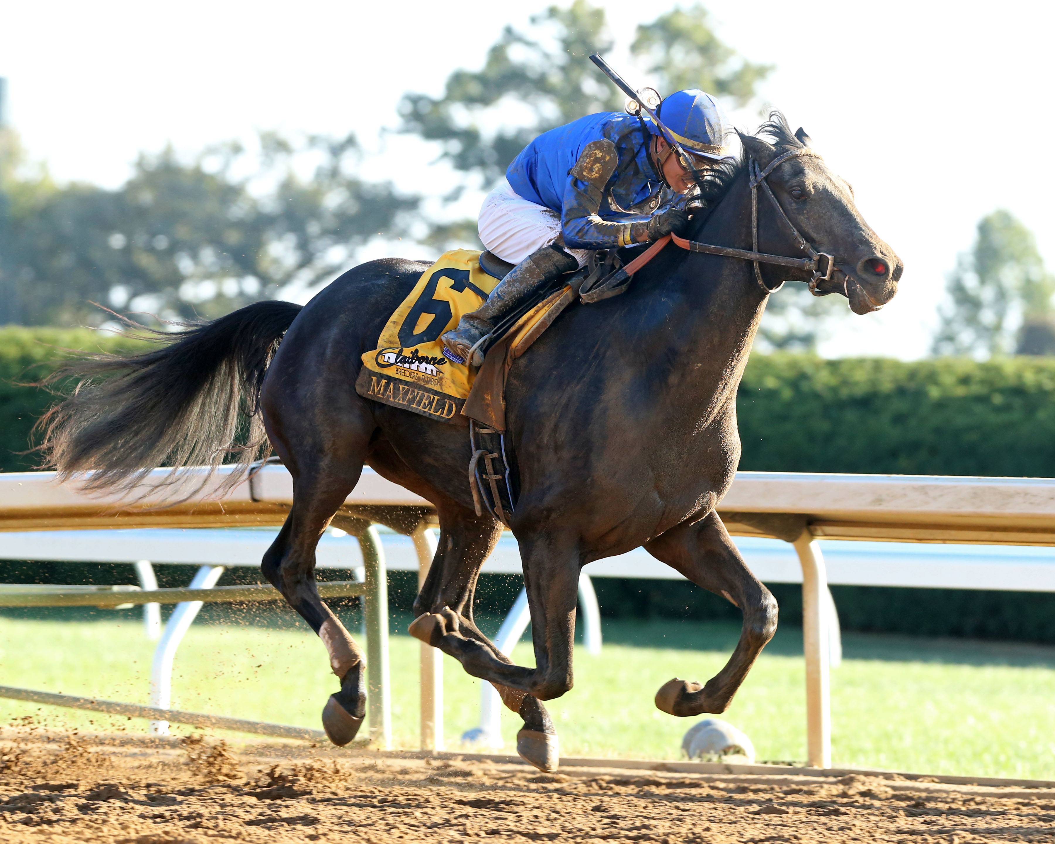 Maxfield wins the 2019 Breeders' Futurity