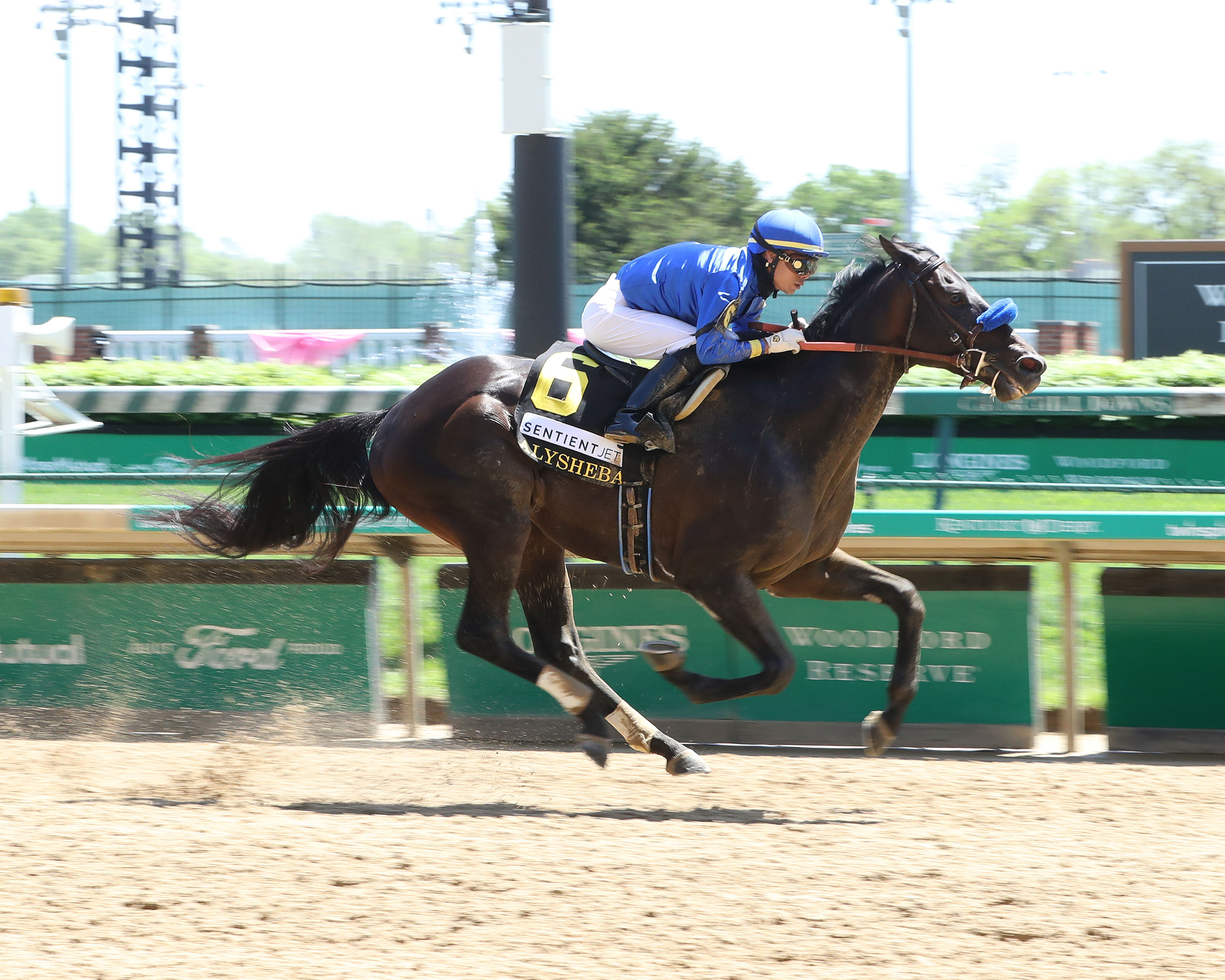 Maxfield - Alysheba S. 2021