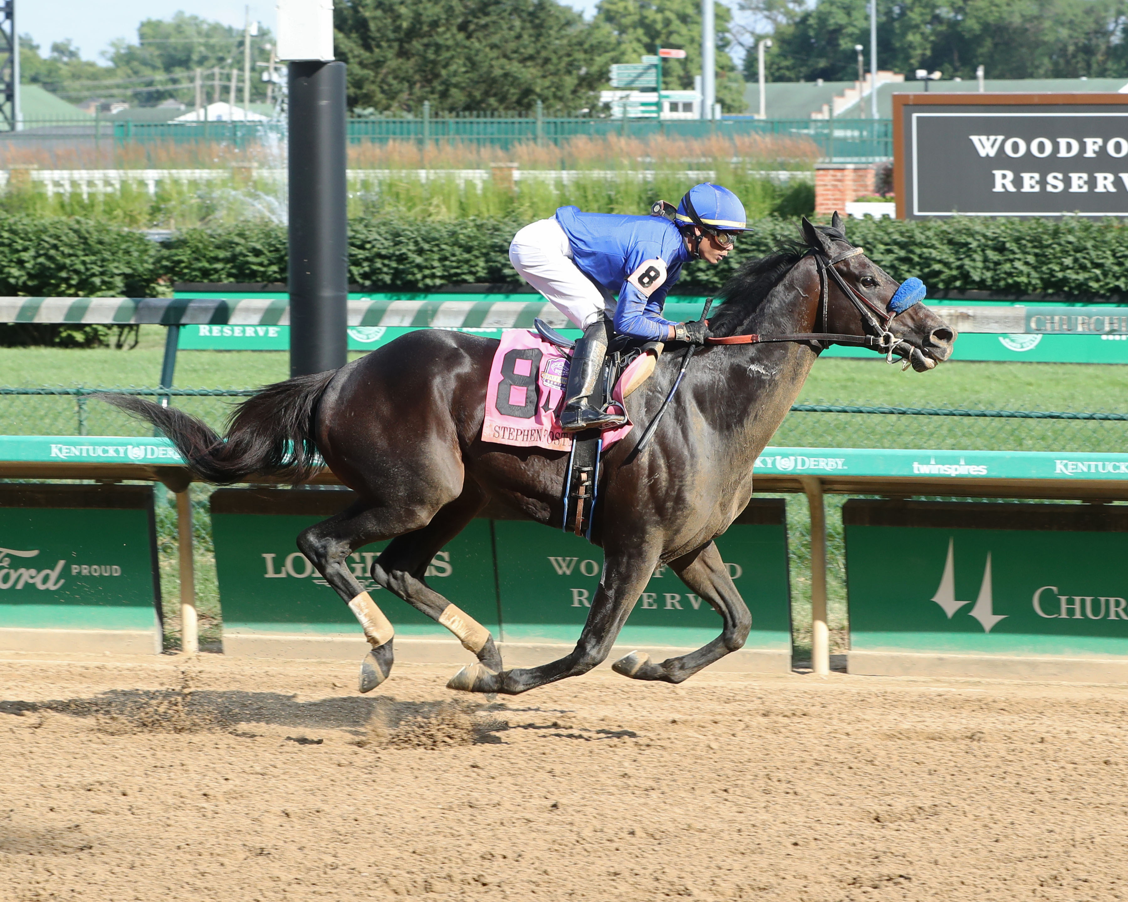 Maxfield - Stephen Foster S. 2021
