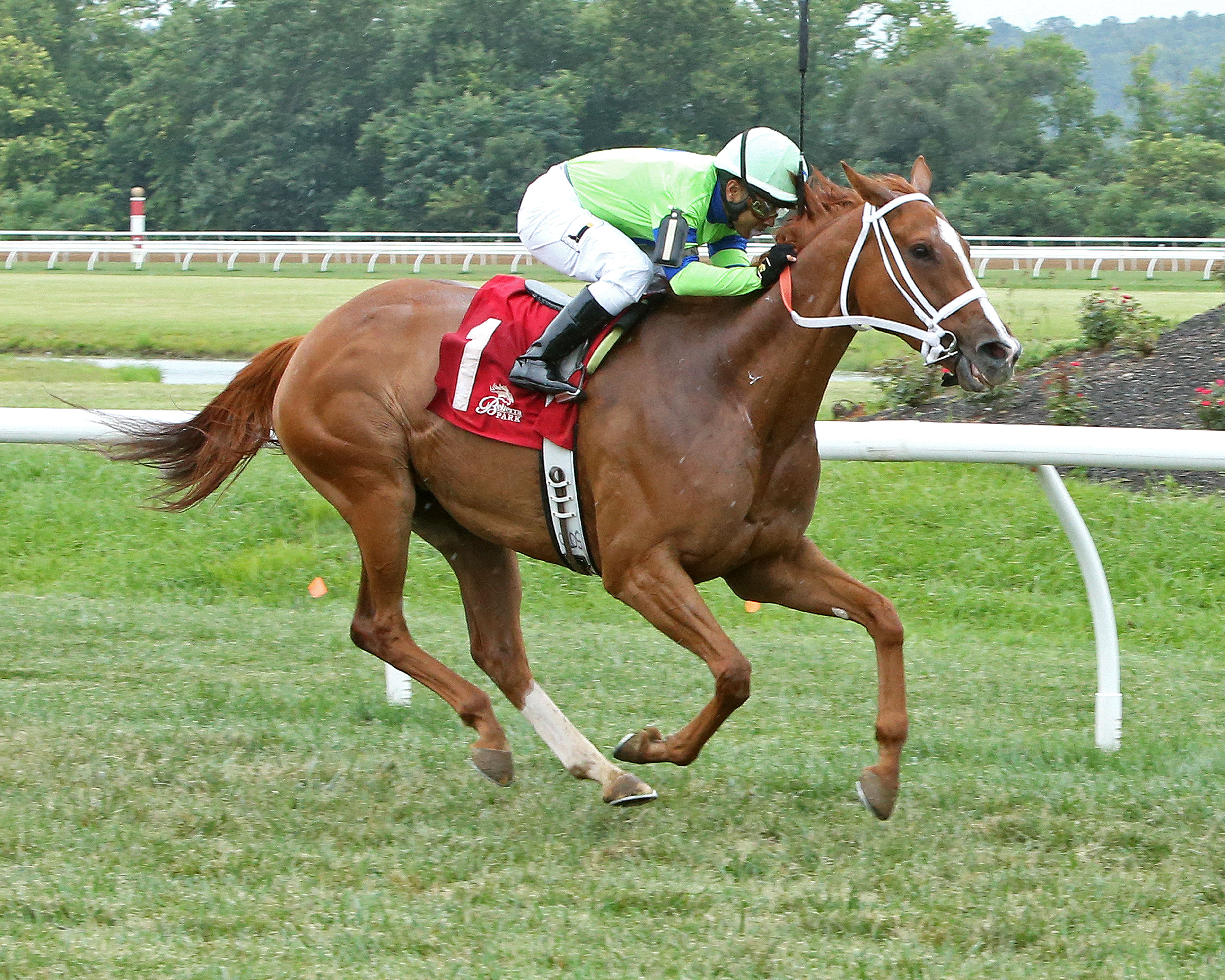Mayas Queen Neetee wins the Vivacious Handicap at Belterra Park 8.6.17_CO