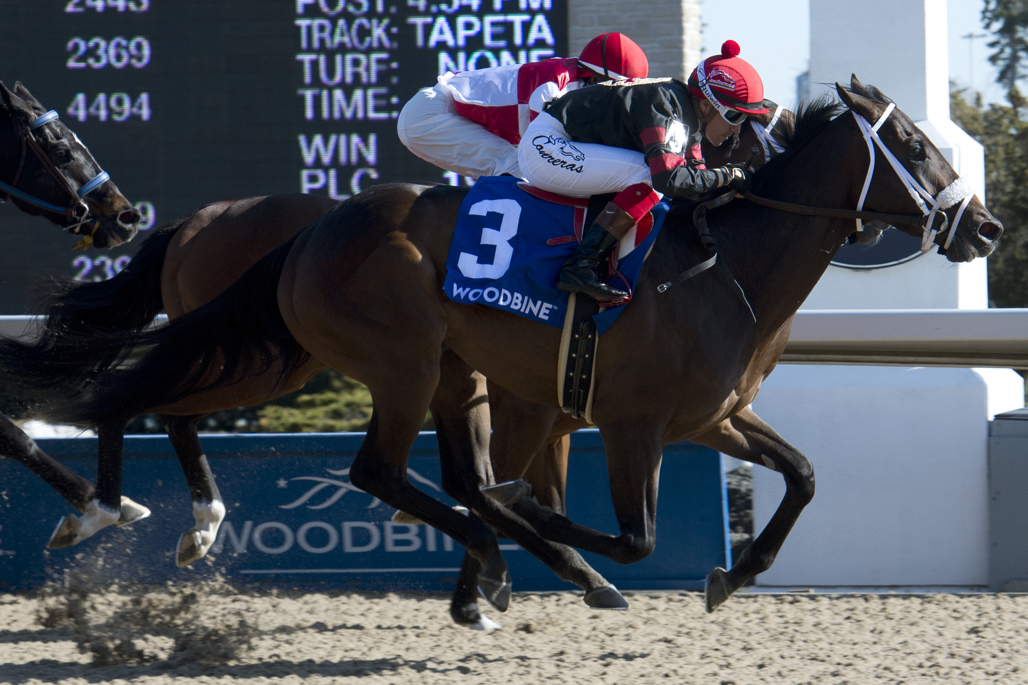 Silent Sting wins 2018 Queenston Stakes