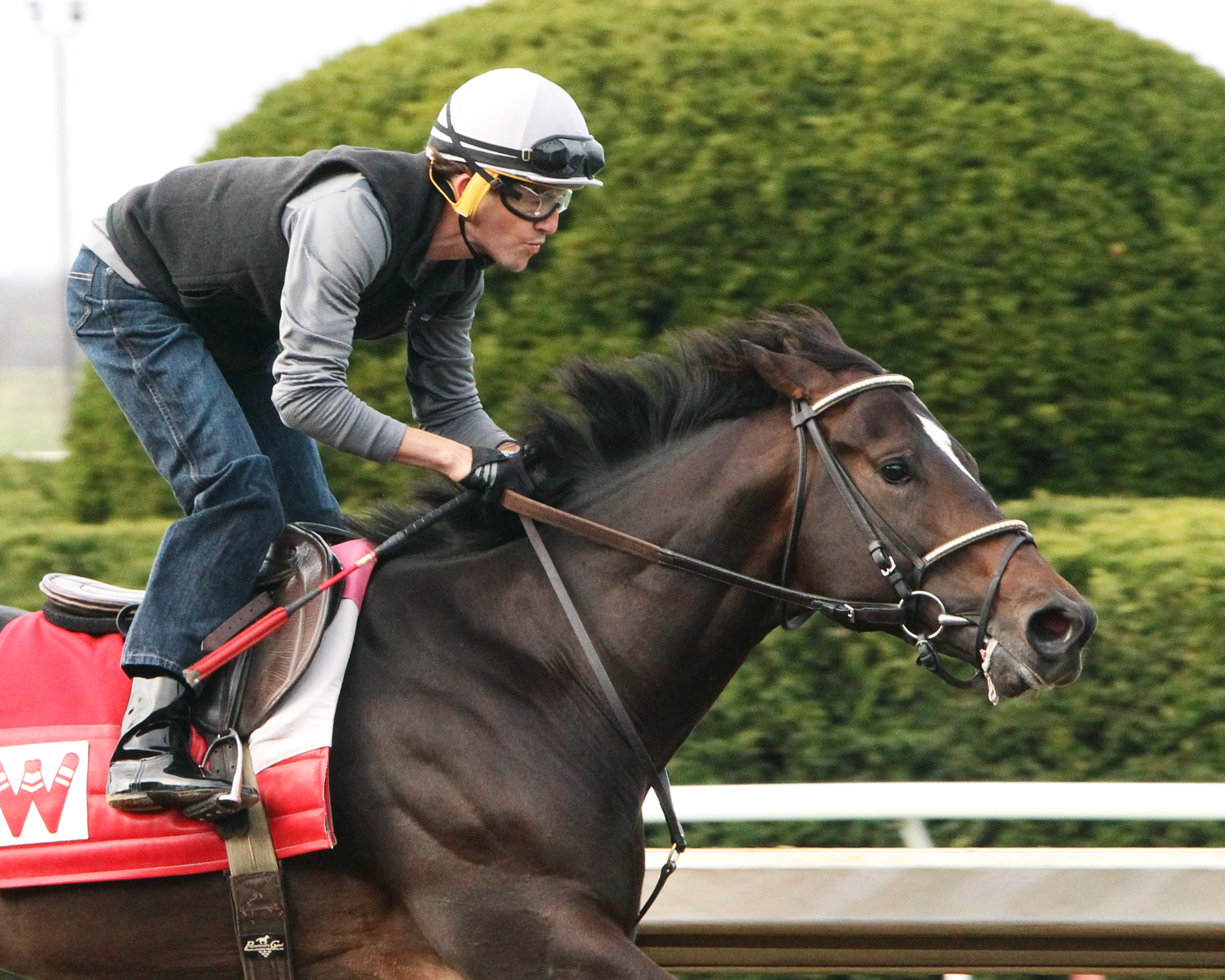 McCraken