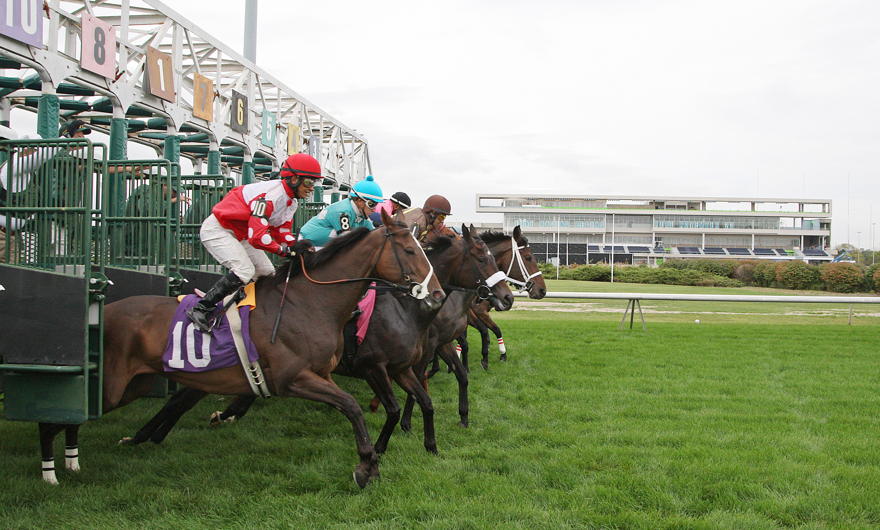Meadowlands turf race