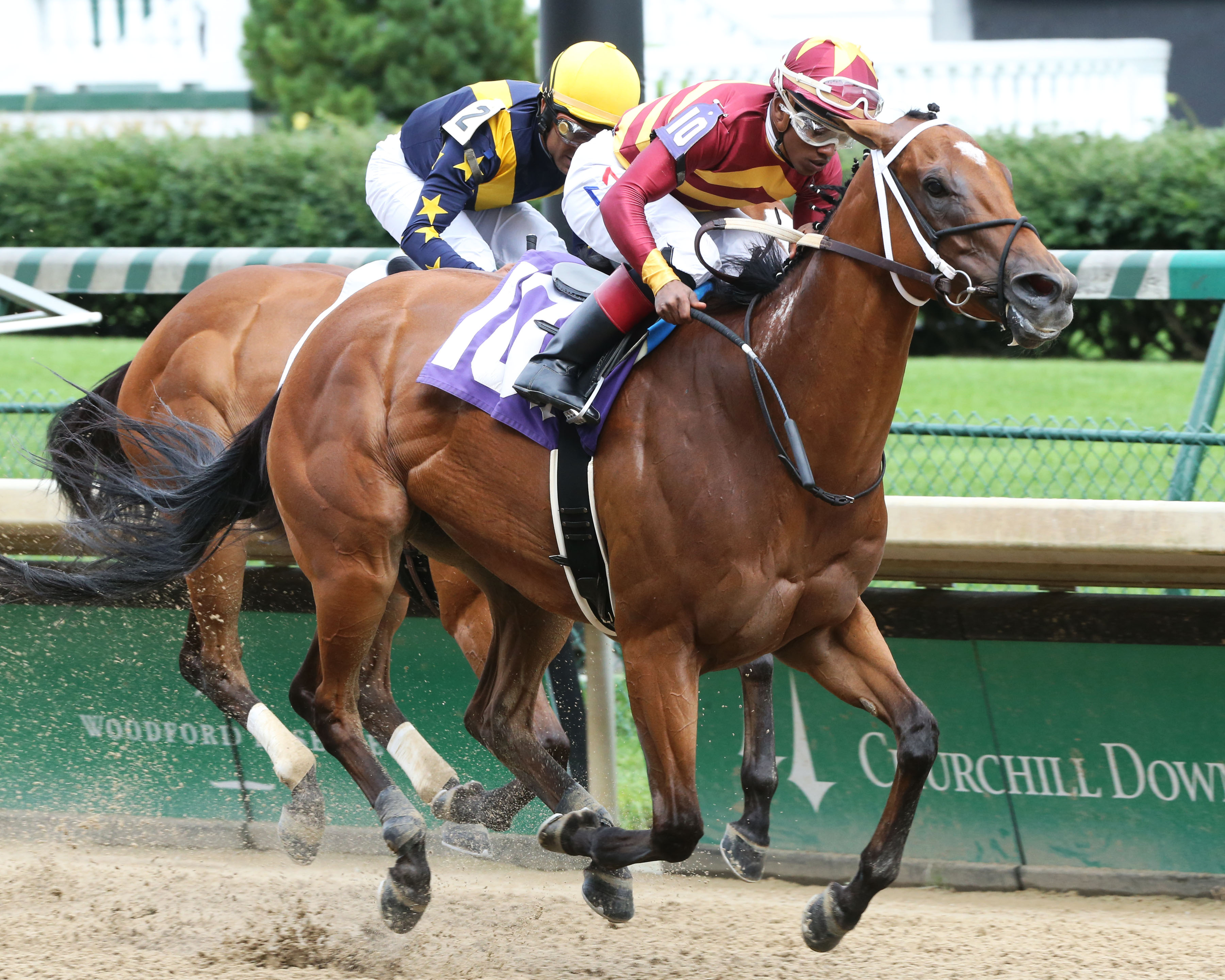 Mia Mischief wins the 2019 Roxelana Stakes