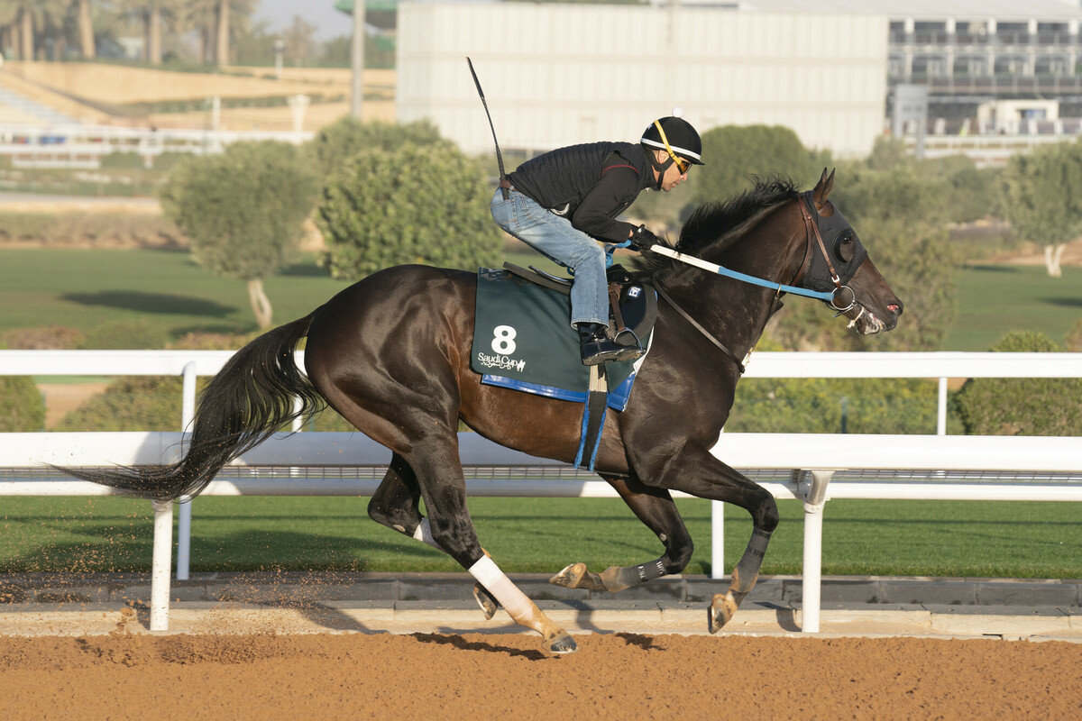 Midnight Bourbon - Saudi Cup 2022