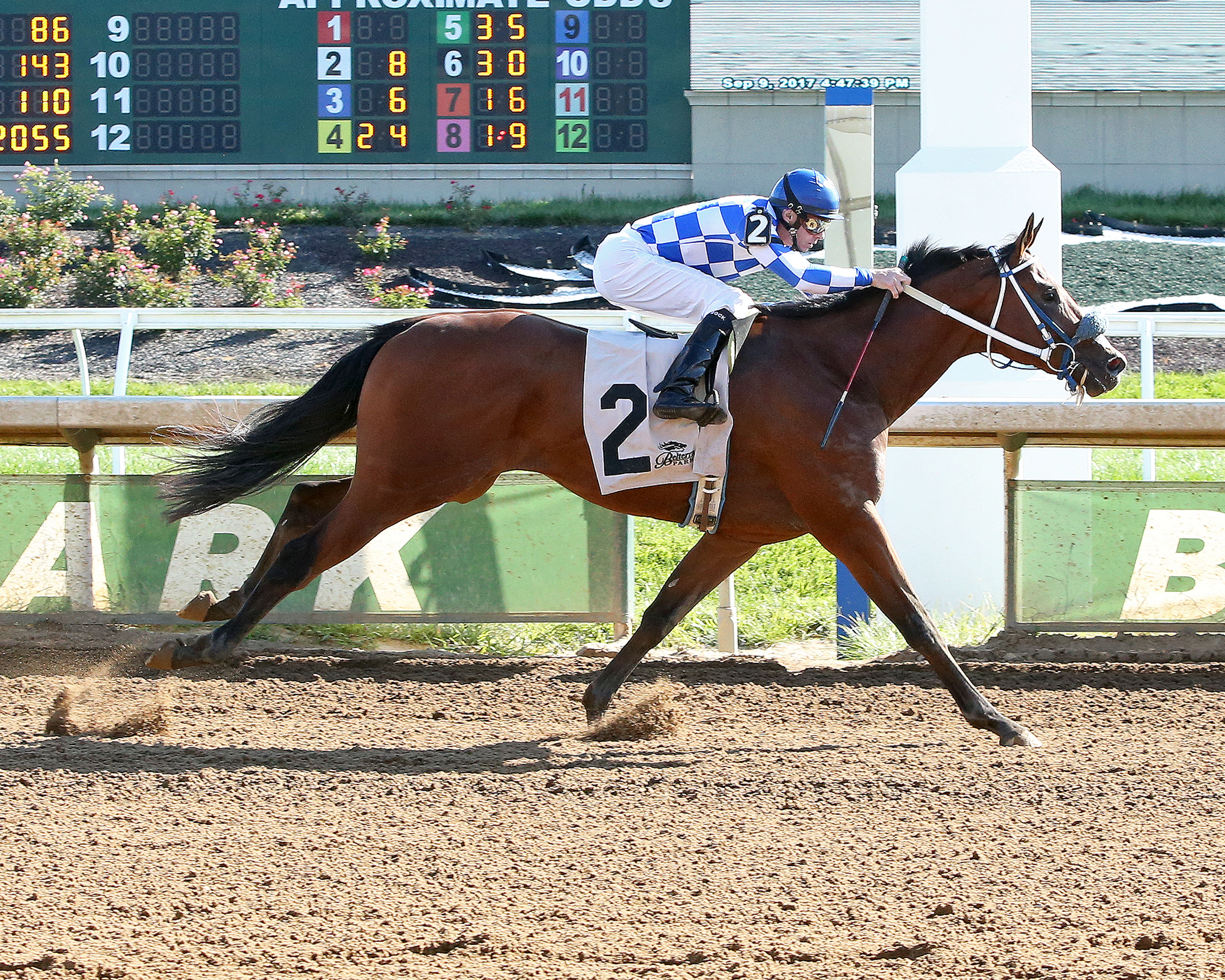Midnight Mikey wins the 2017 Loyalty Stakes