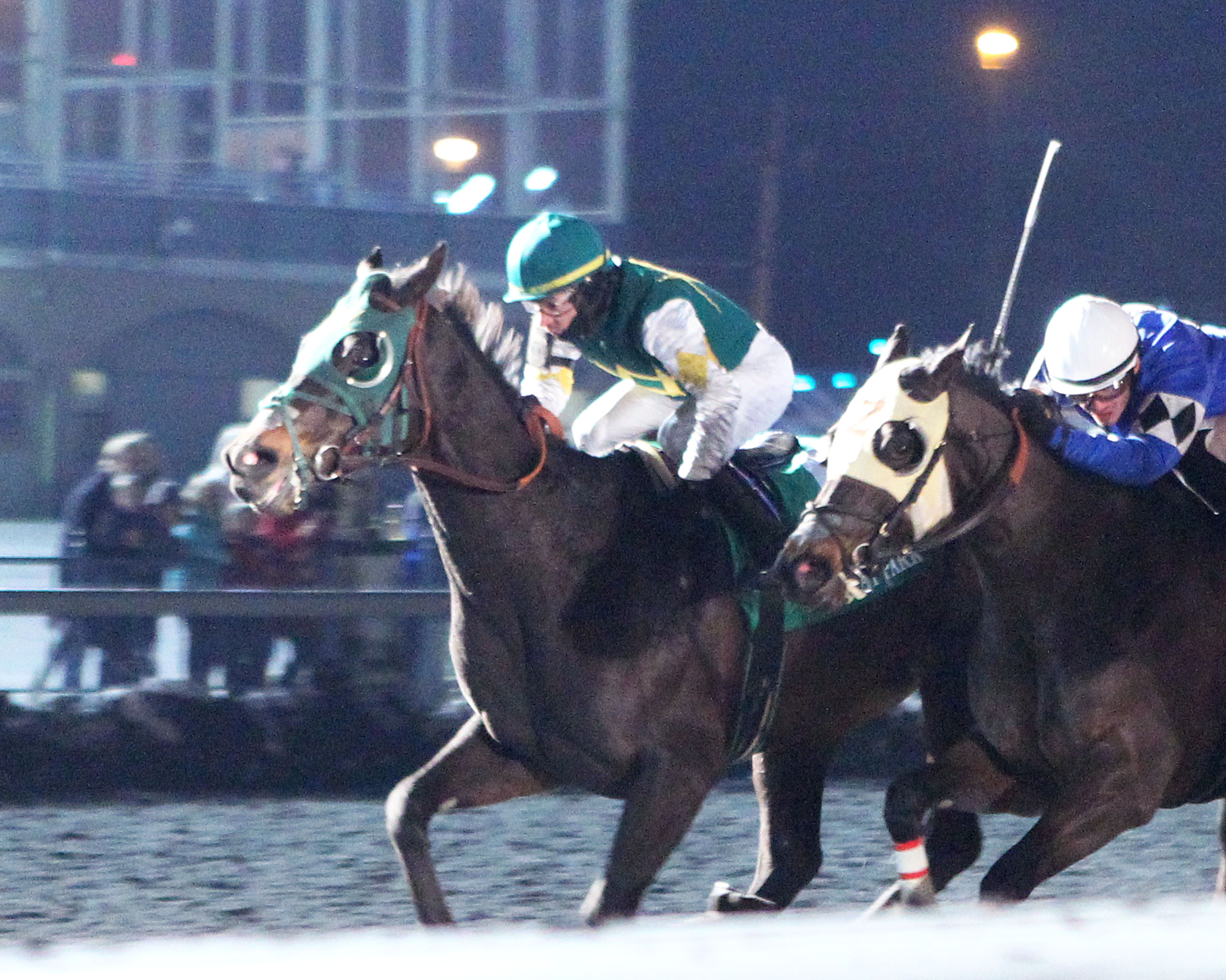 Midnight Pleasure wins 2019 Forego