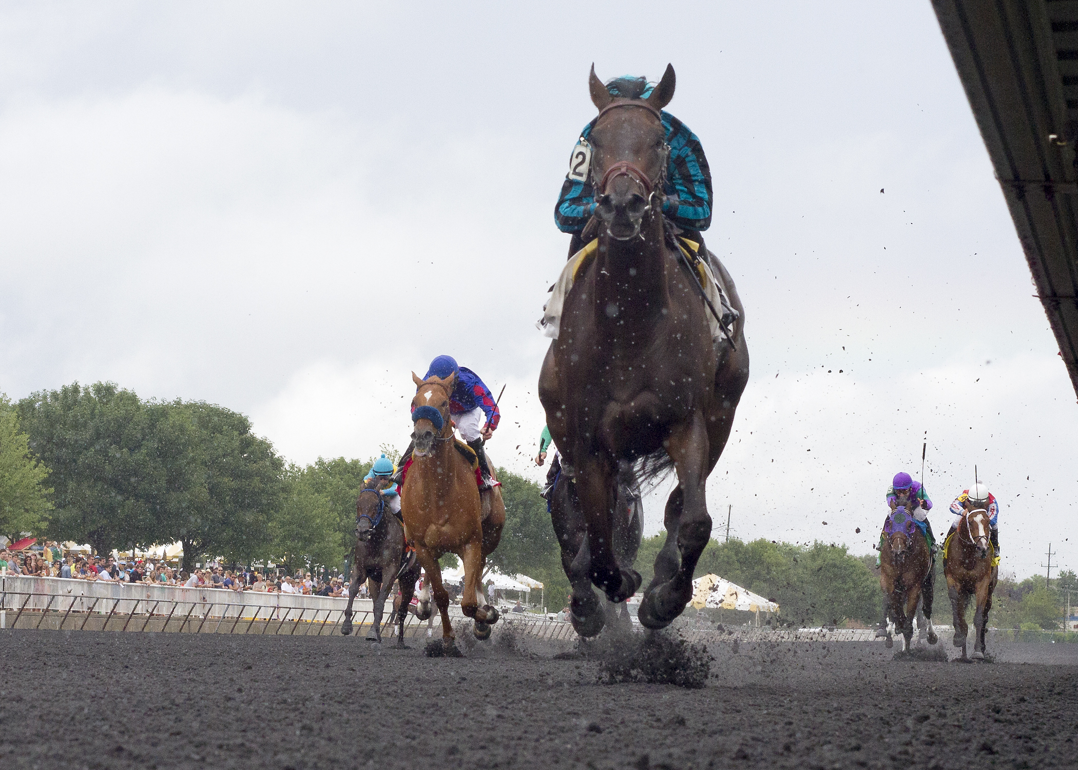 Midnight Cello wins 2015 Hanshin Cup