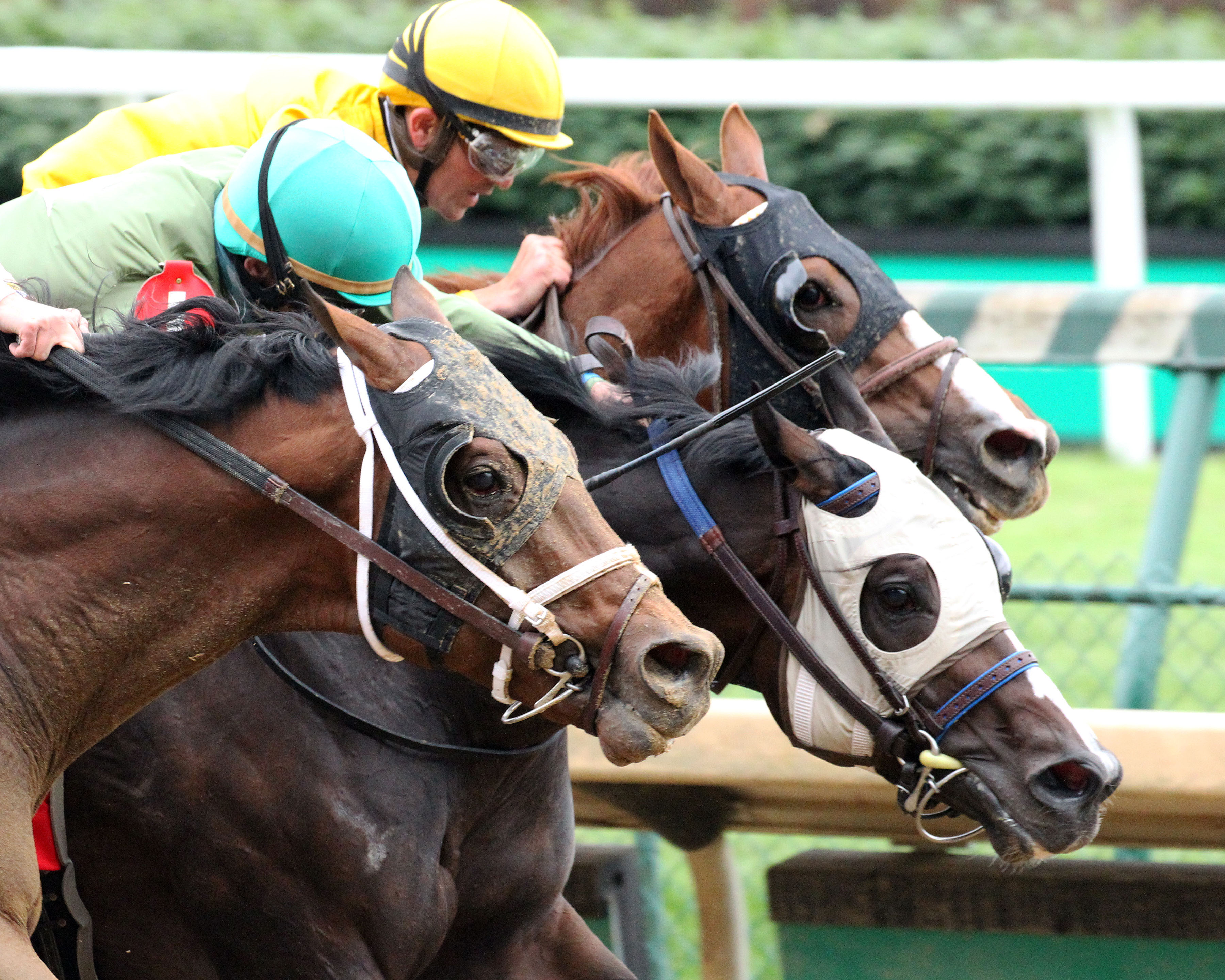 Mighty Heart wins the Blame Stakes 5-29-2021