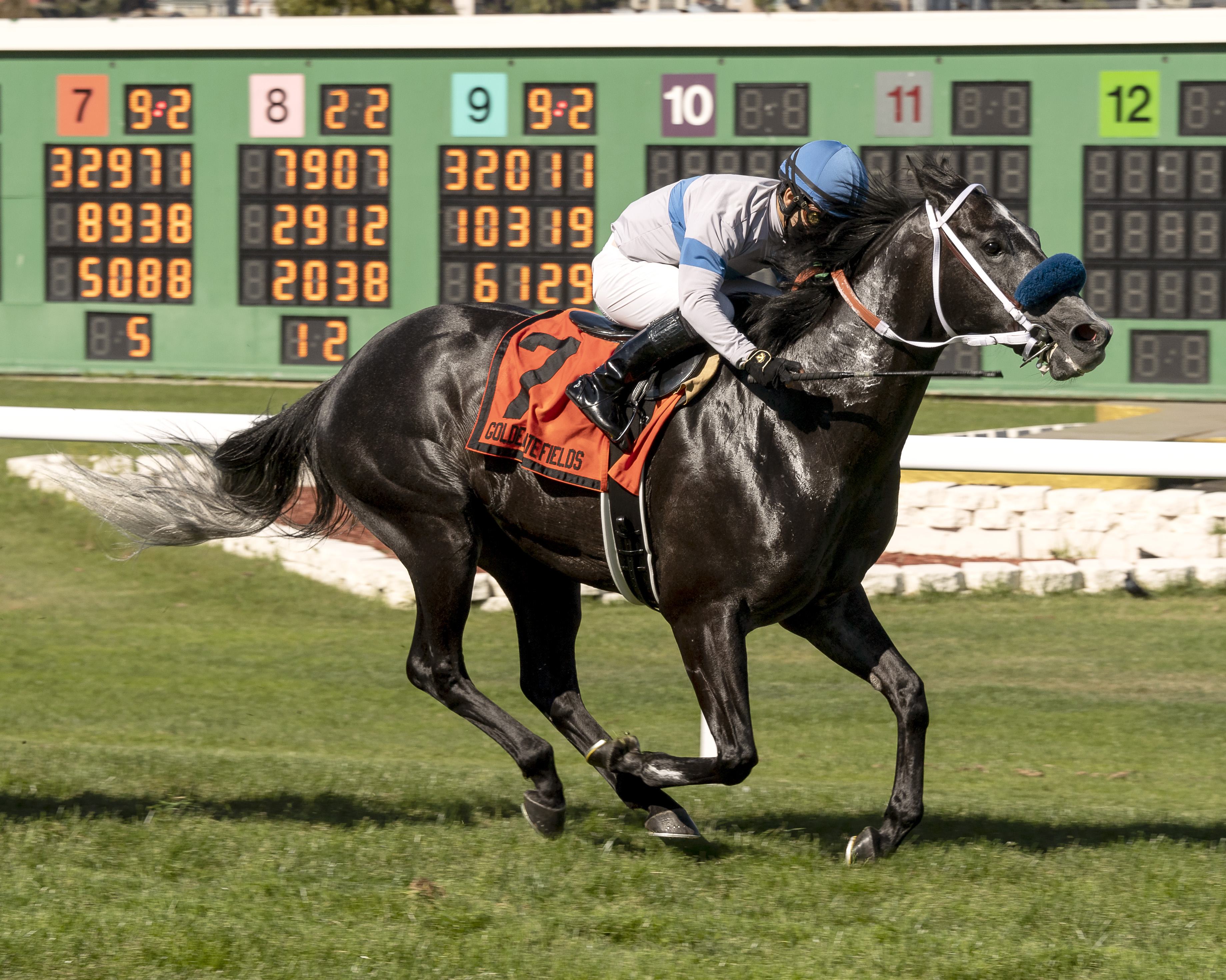 Mikes Tiznow/Albany Stakes