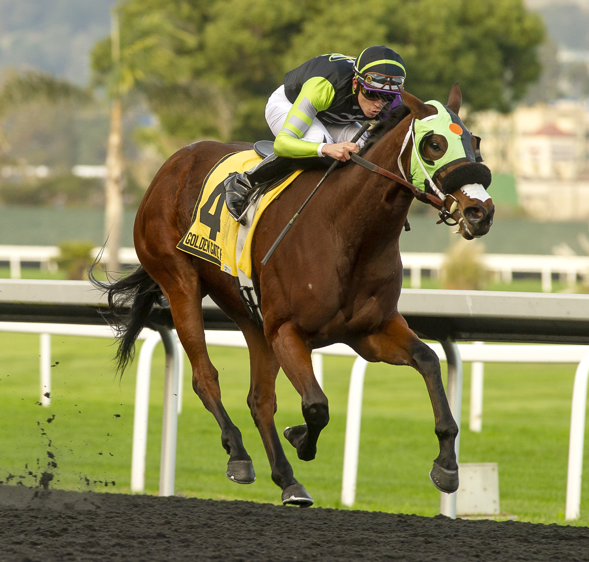 Mimajoon Act, GG Debutante