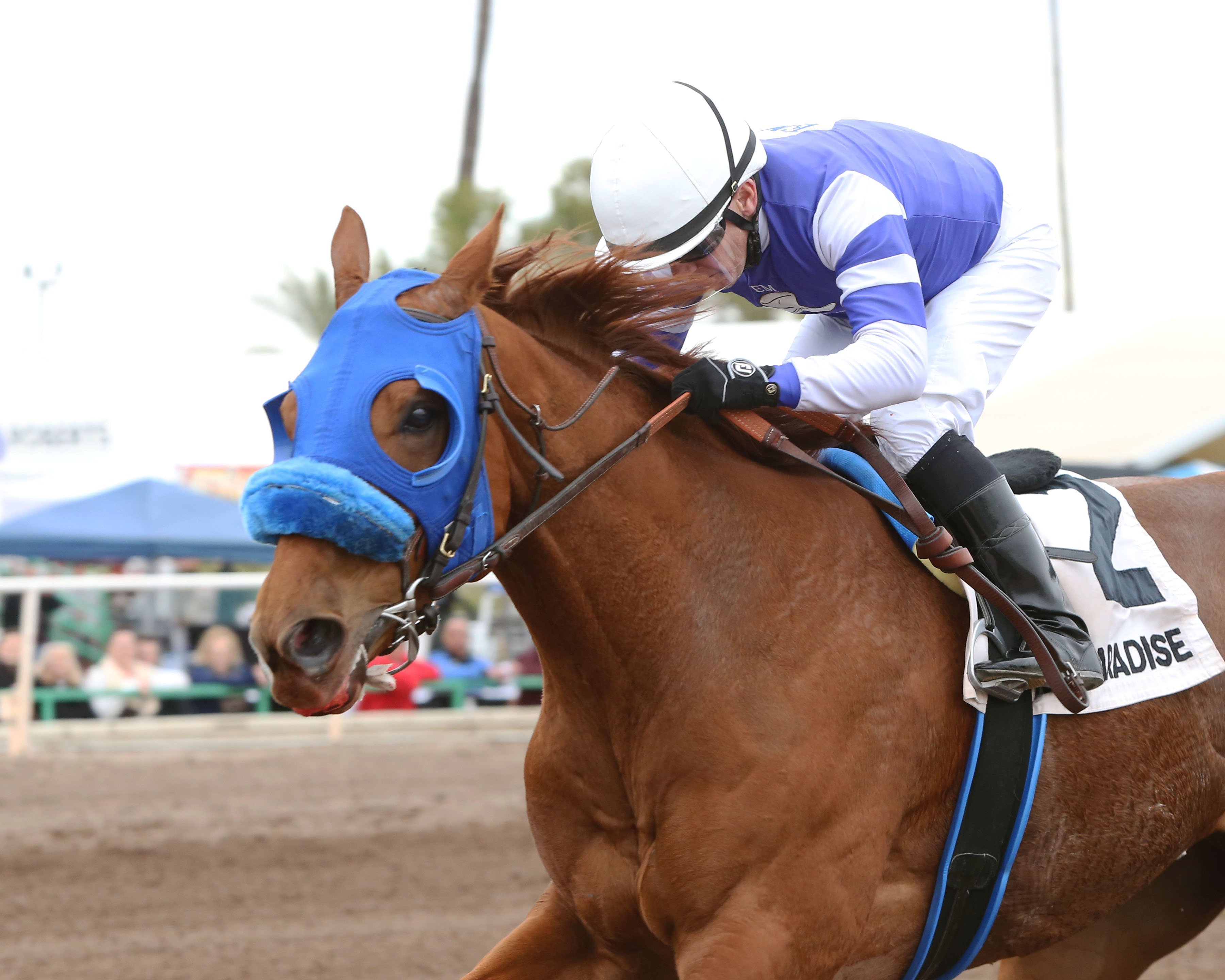 Minister of Soul wins the 2019 Phoenix Gold Cup