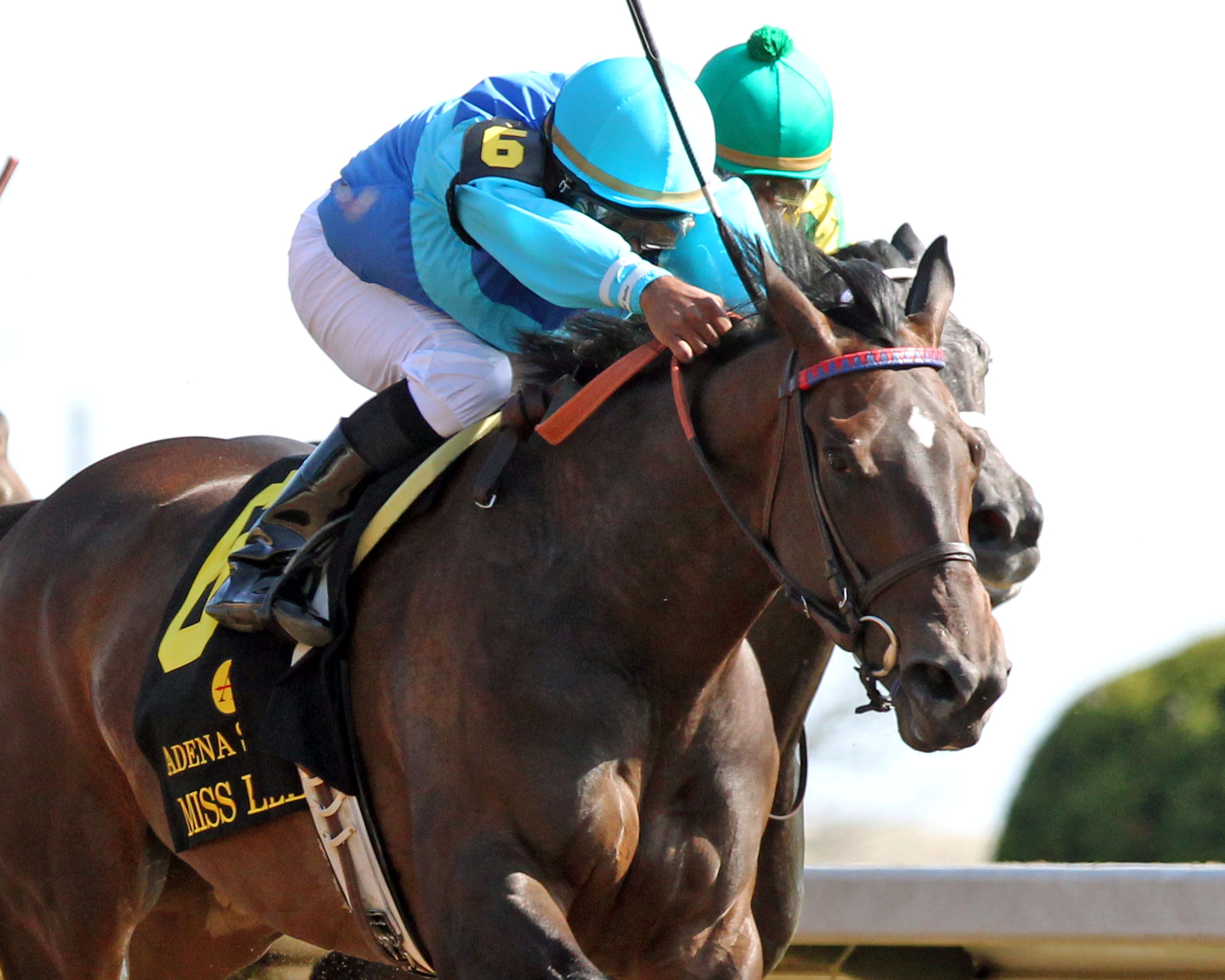 Miss Ella wins 2015 Beaumont