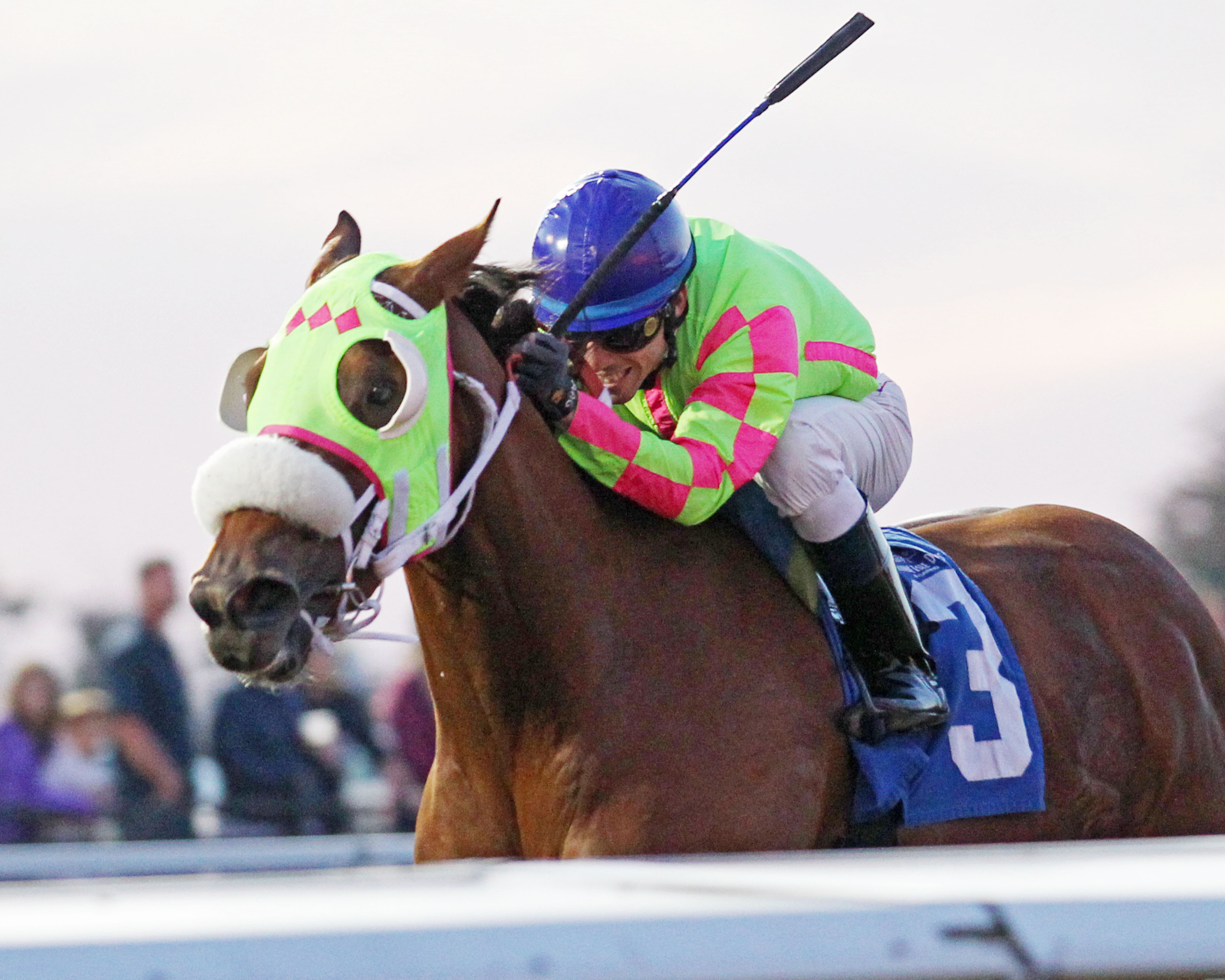 Miss Mischief/HBPA