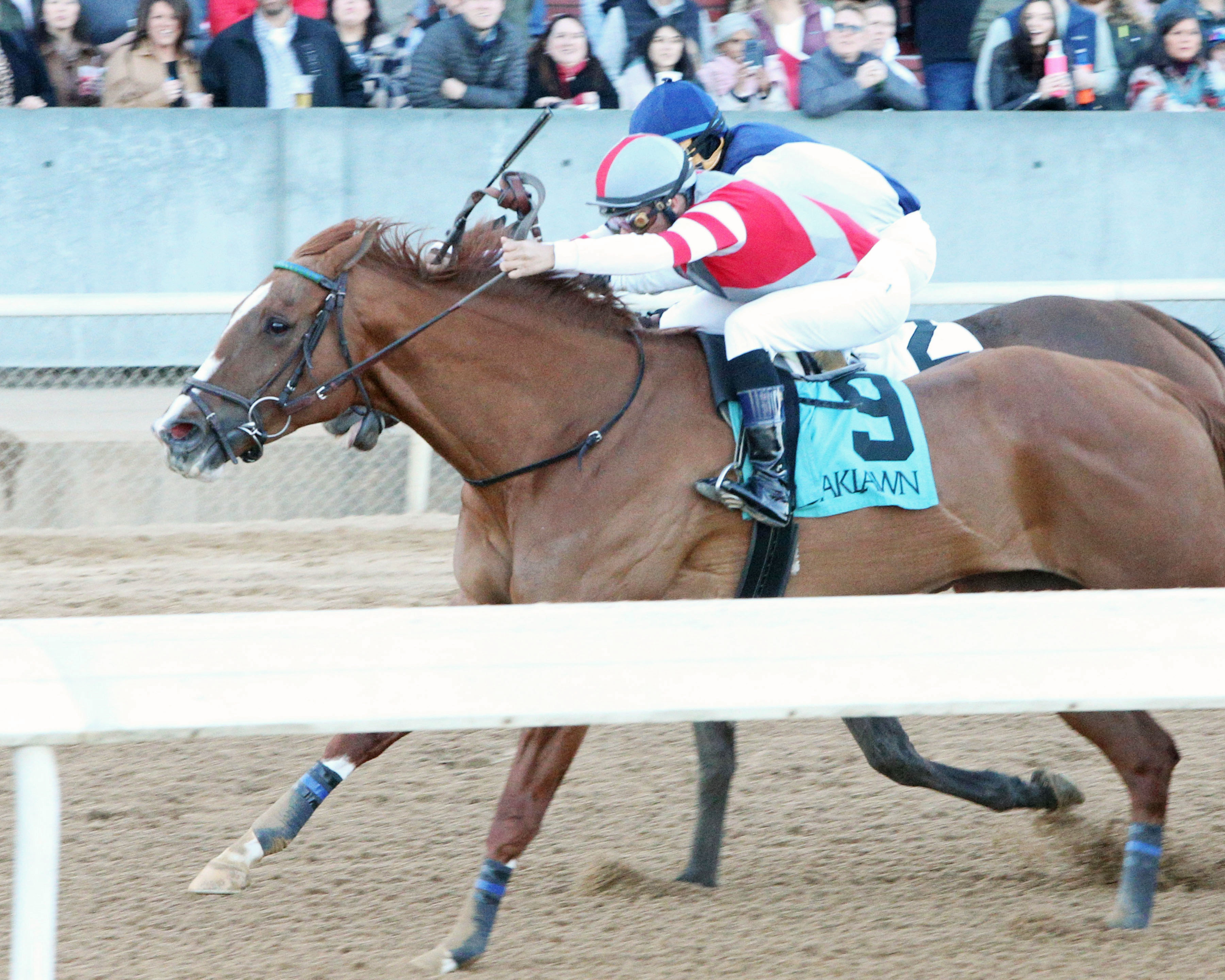 Miss Mosaic (9) wins American Beauty 1-22-2022