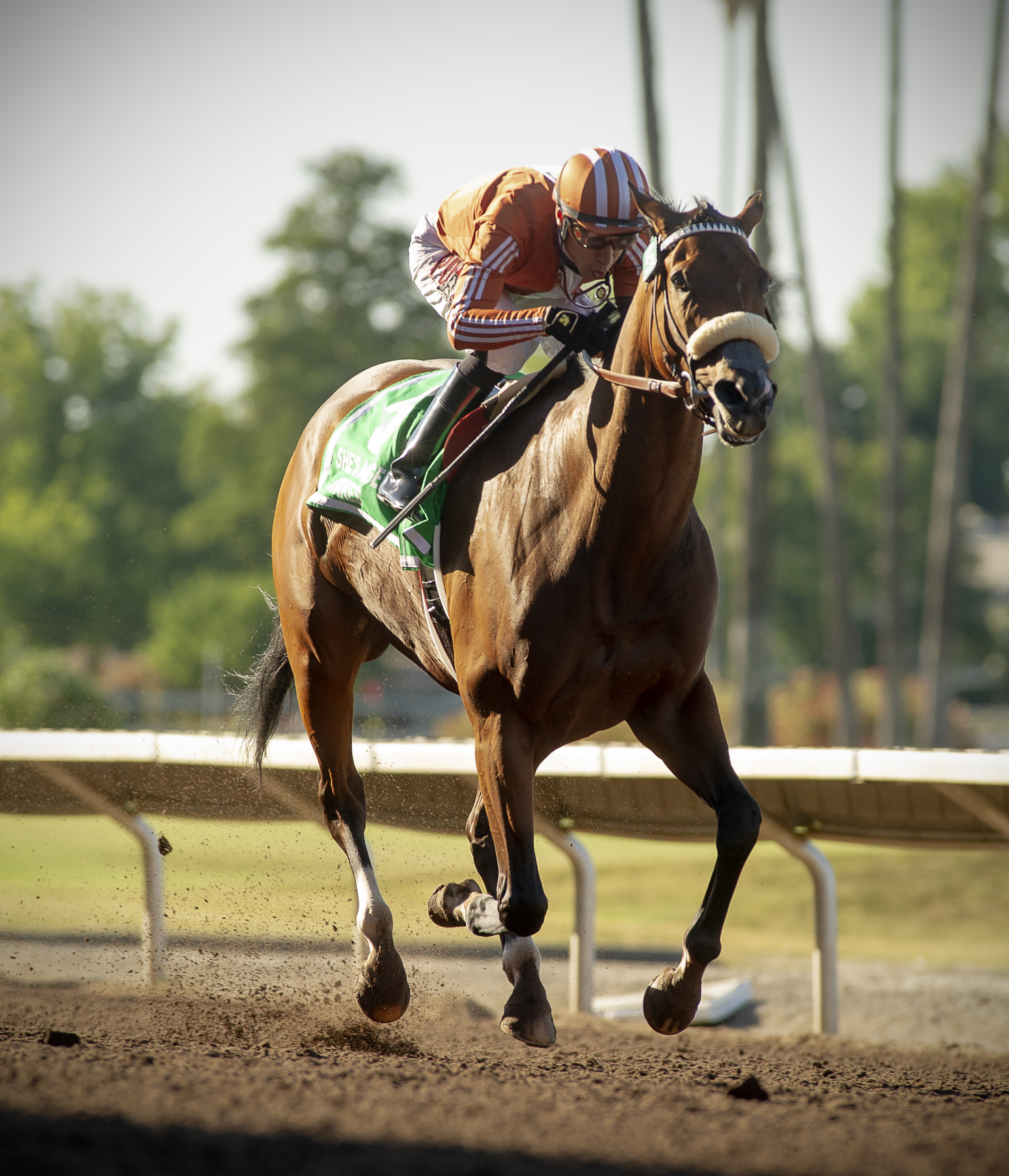 Miss Stormy D wins She's A Tiger 6-26-2021
