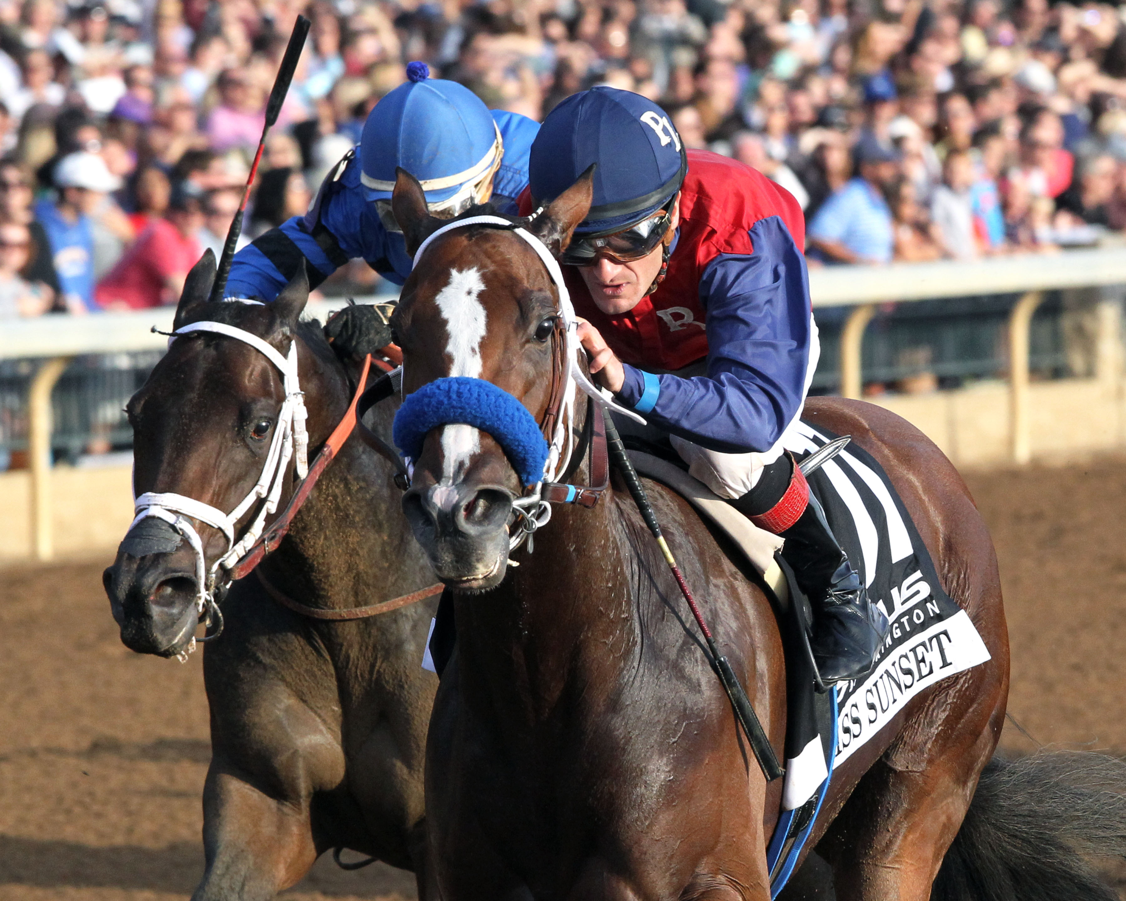 Miss Sunset wins the 2017 Raven Run Stakes