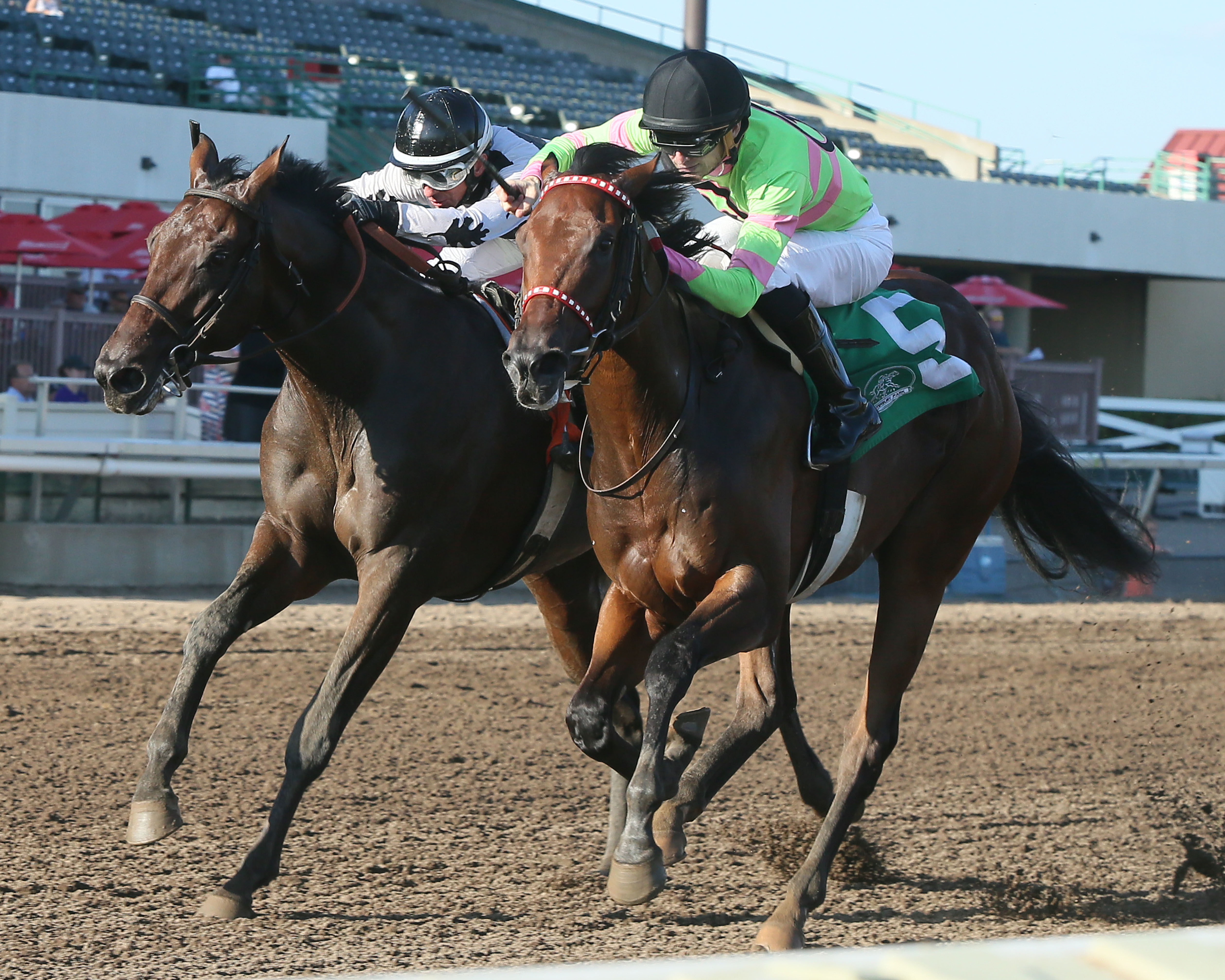 Mister Banjoman (No. 5) wins the 2018 Shakopee Juvenile Stakes