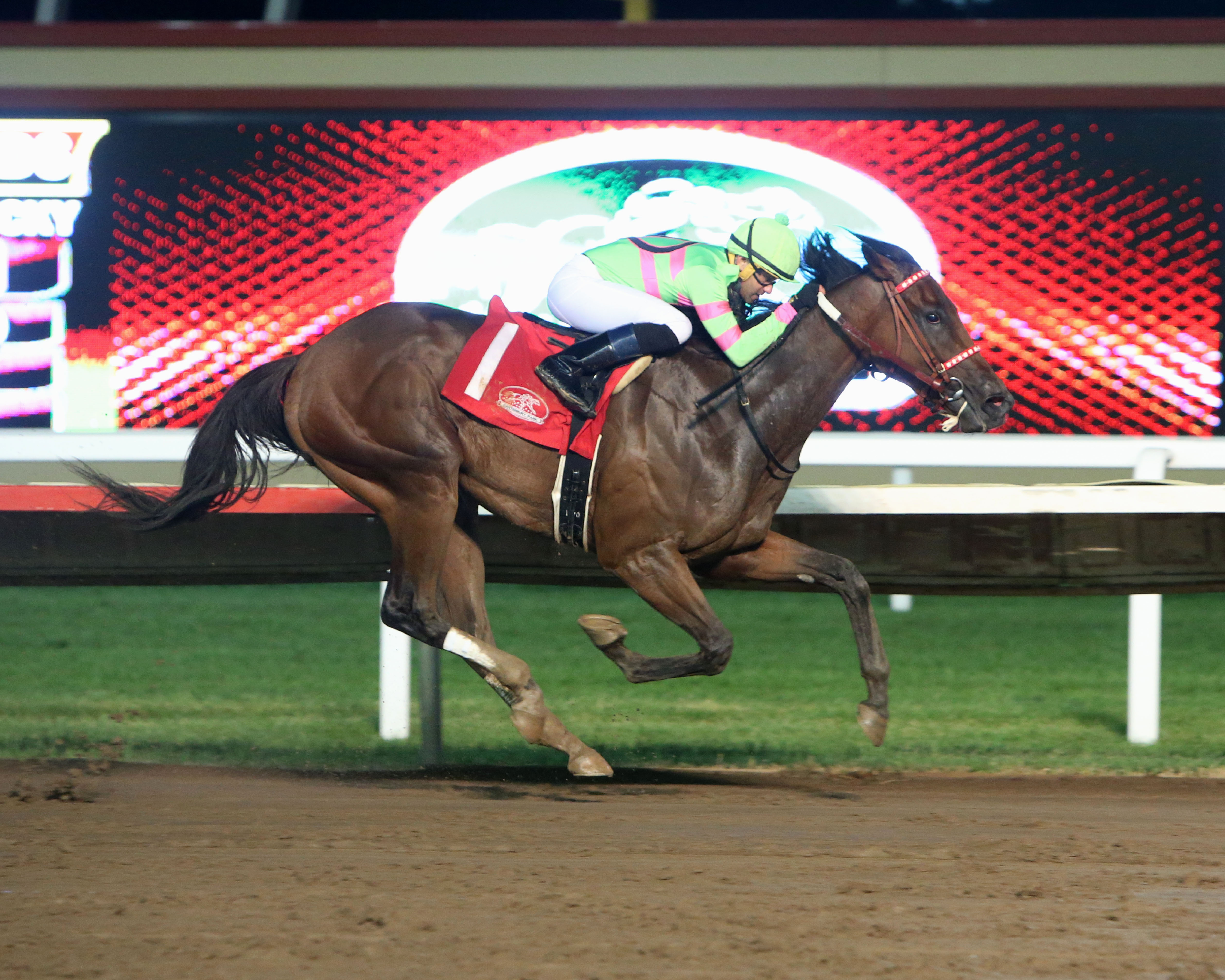 Mister Banjoman wins the 2019 Minnesota Derby