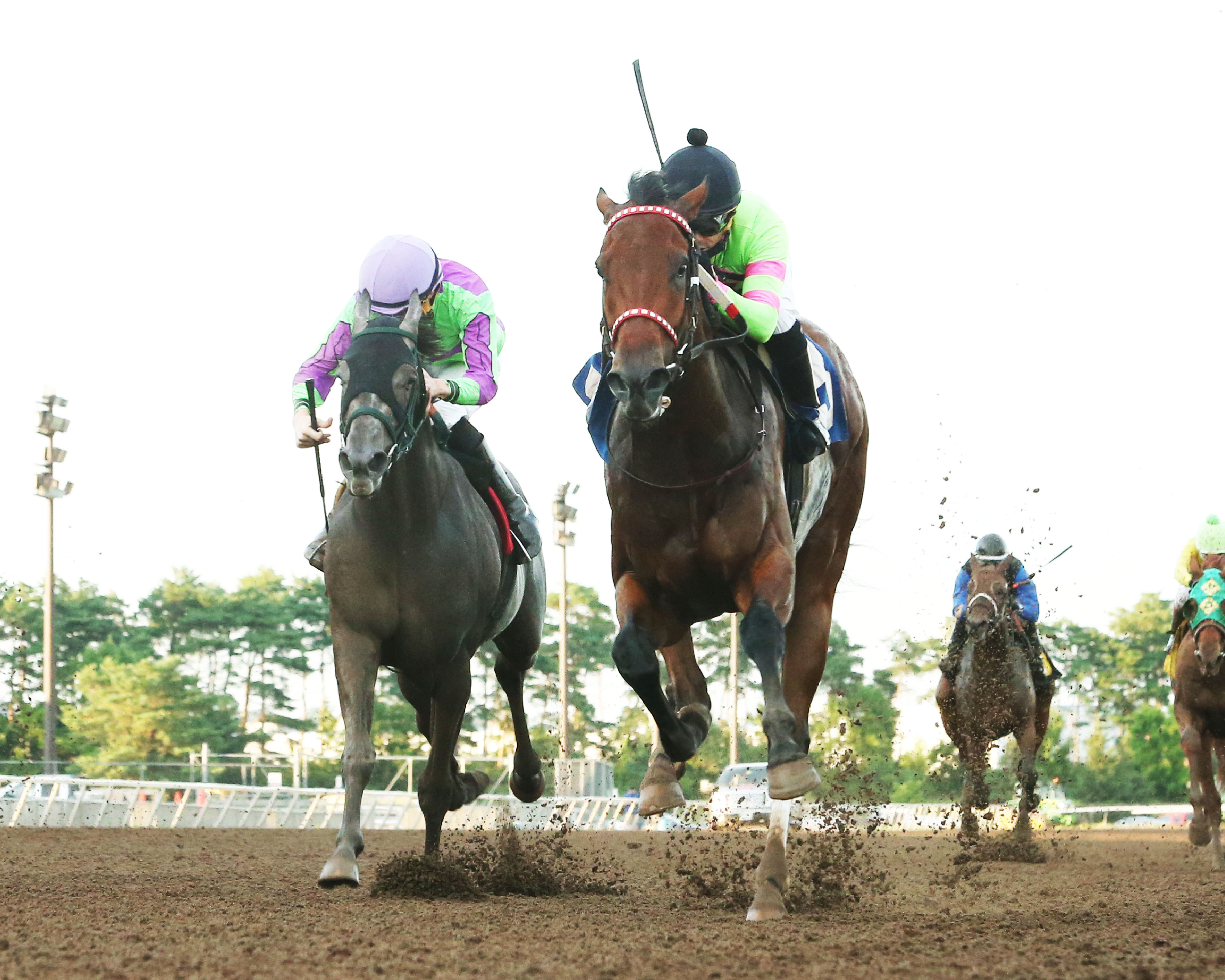 Mister Banjoman (right) wins the 2019 Victor S. Myers Stakes