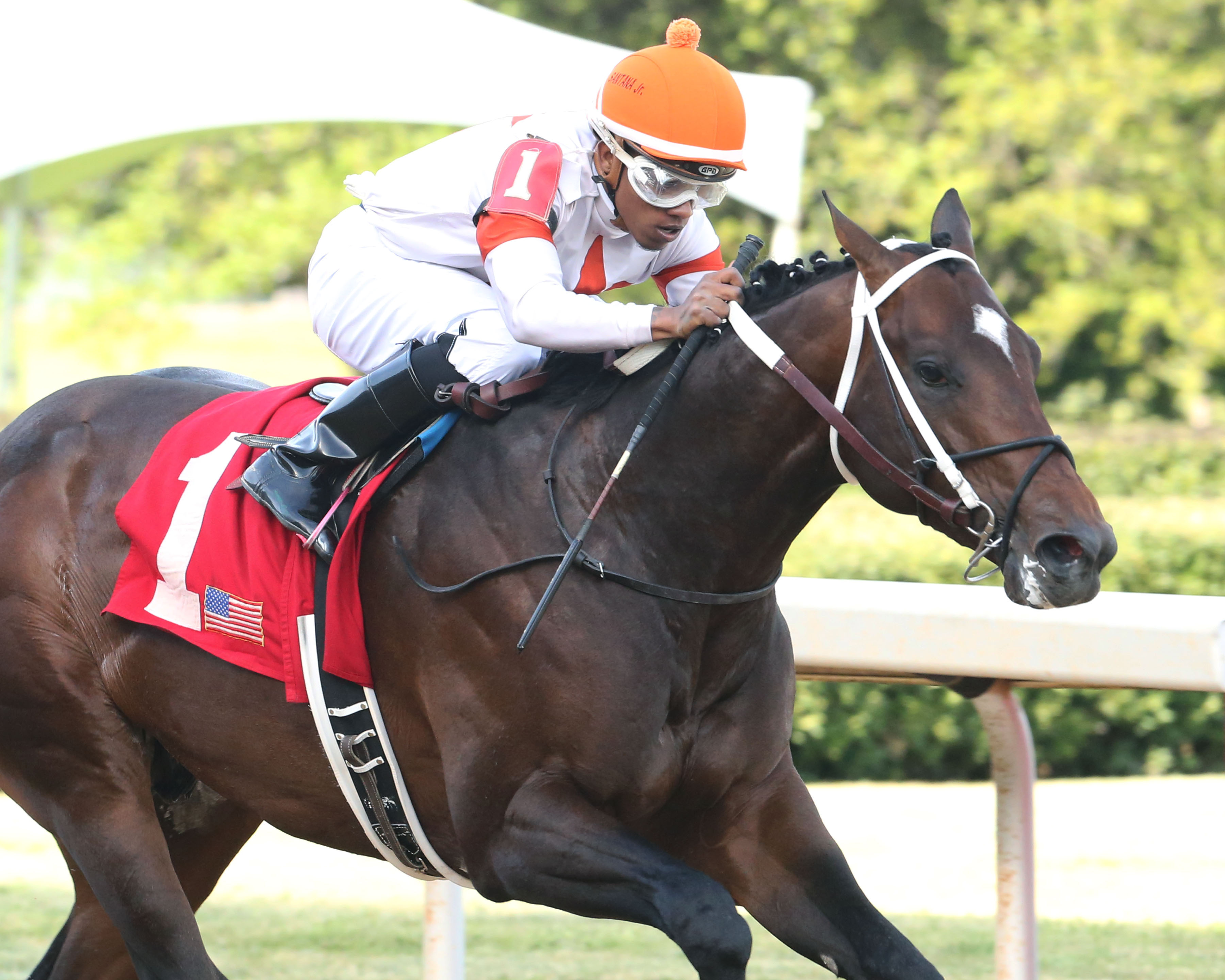 Mitole wins the 2018 Bachelor Stakes