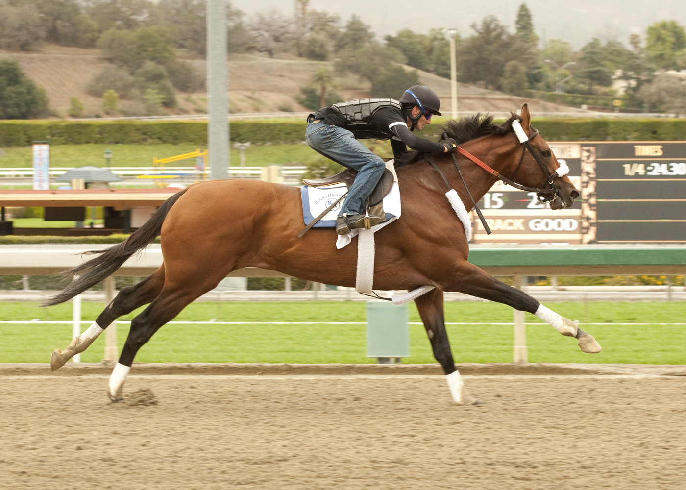 Mucho Macho Man
