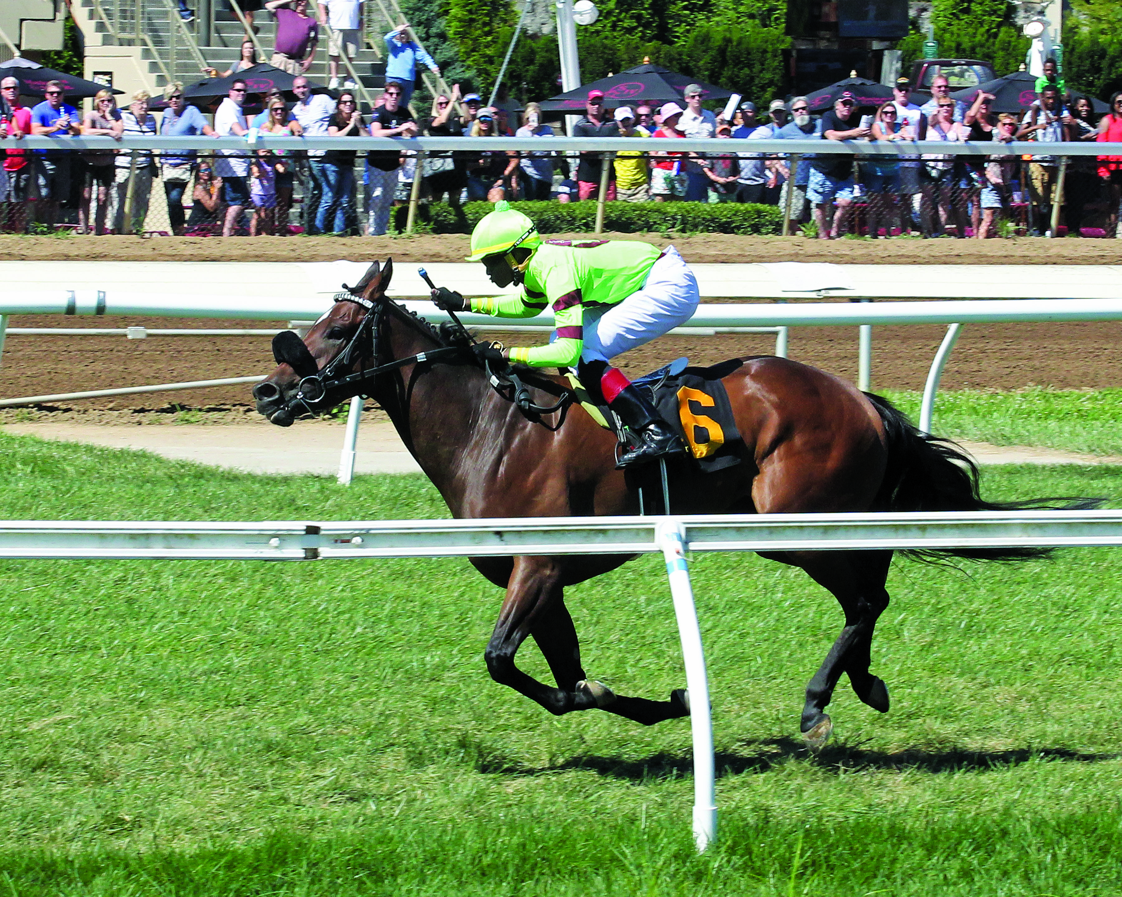 Mobil Bonnet wins the 2018 Cincinnatian Stakes