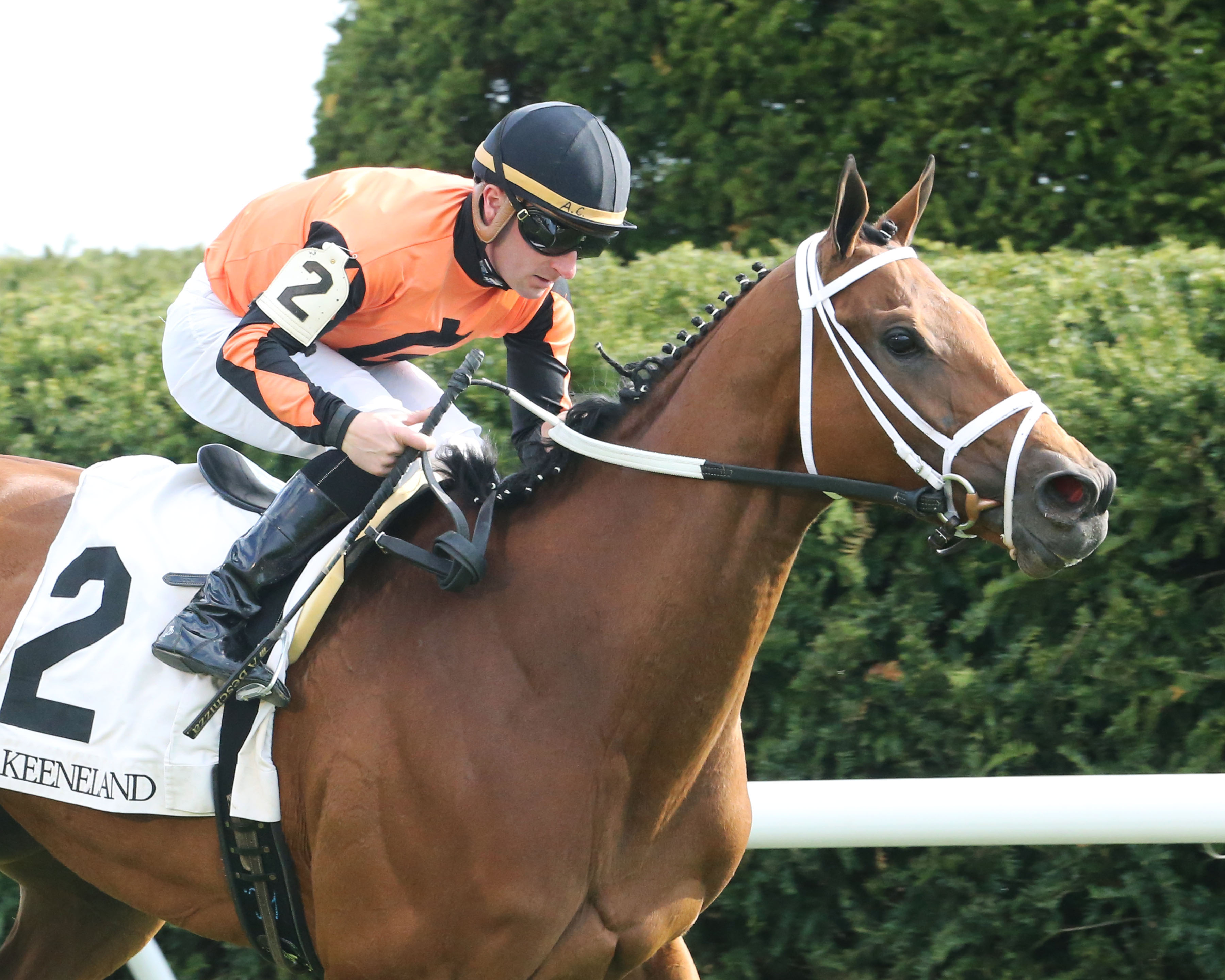 Mom-s On Strike wins the 2018 Bewitch Stakes