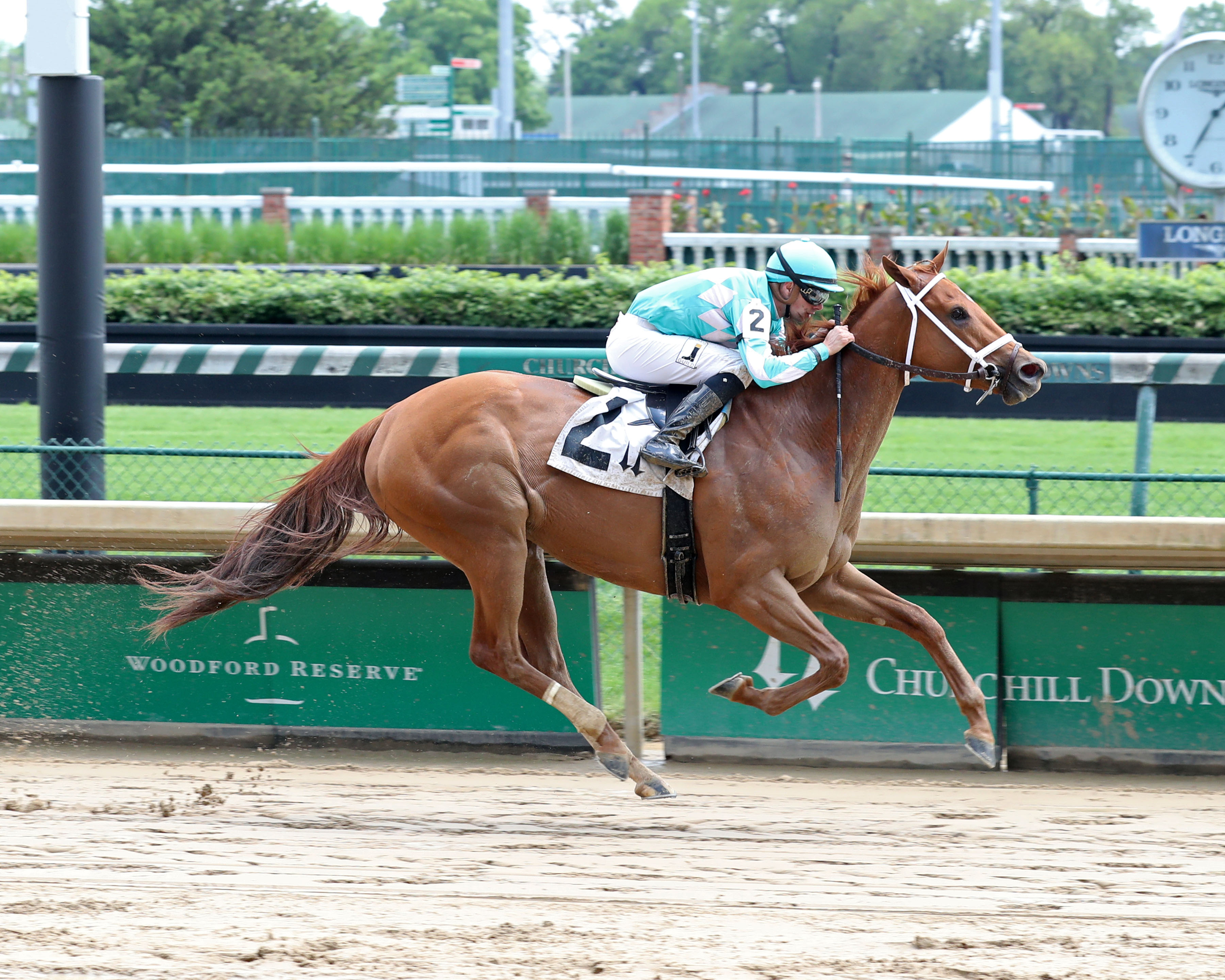 Monomoy Girl