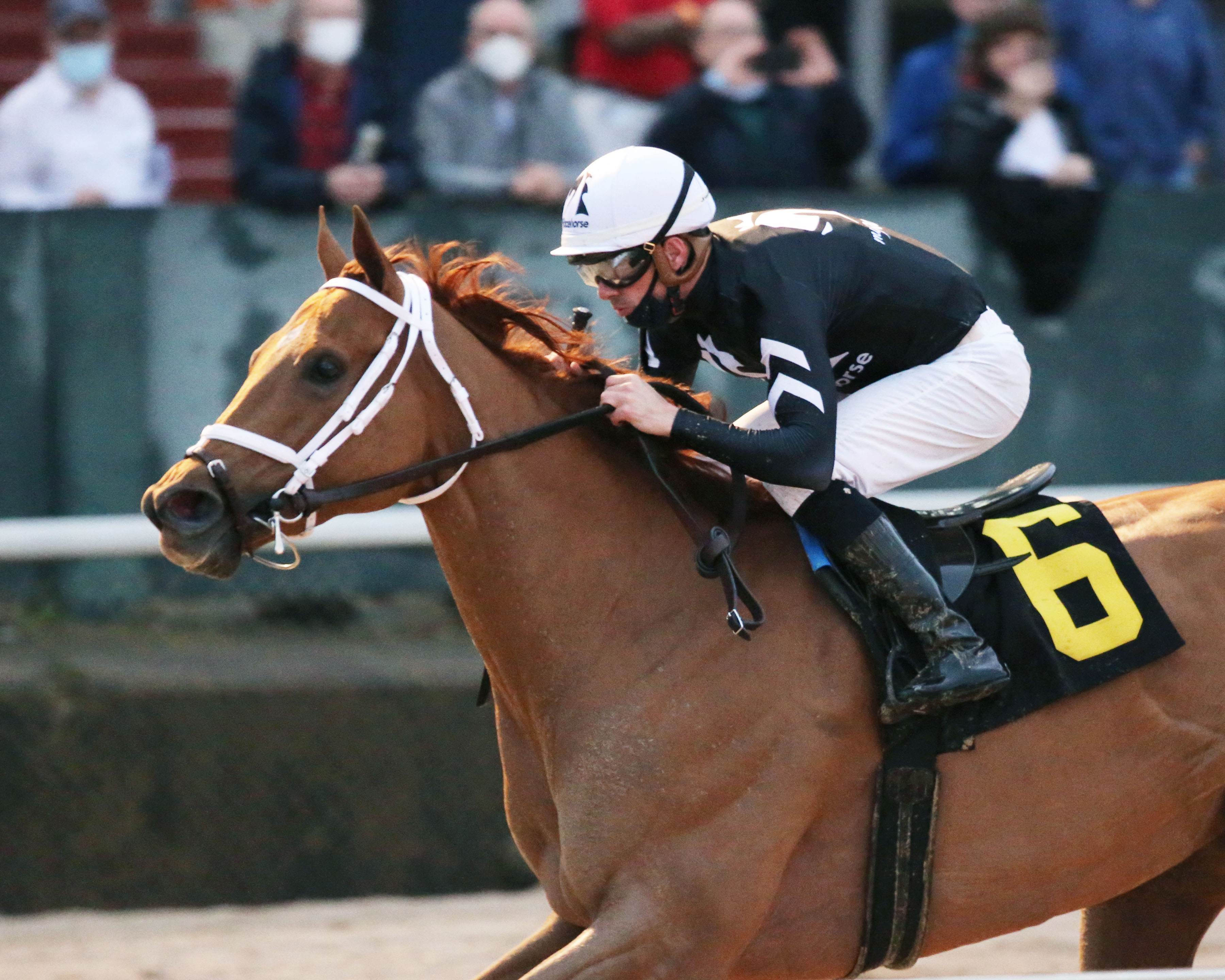 Monomoy Girl wins Bayakoa Stakes 2-28-2021