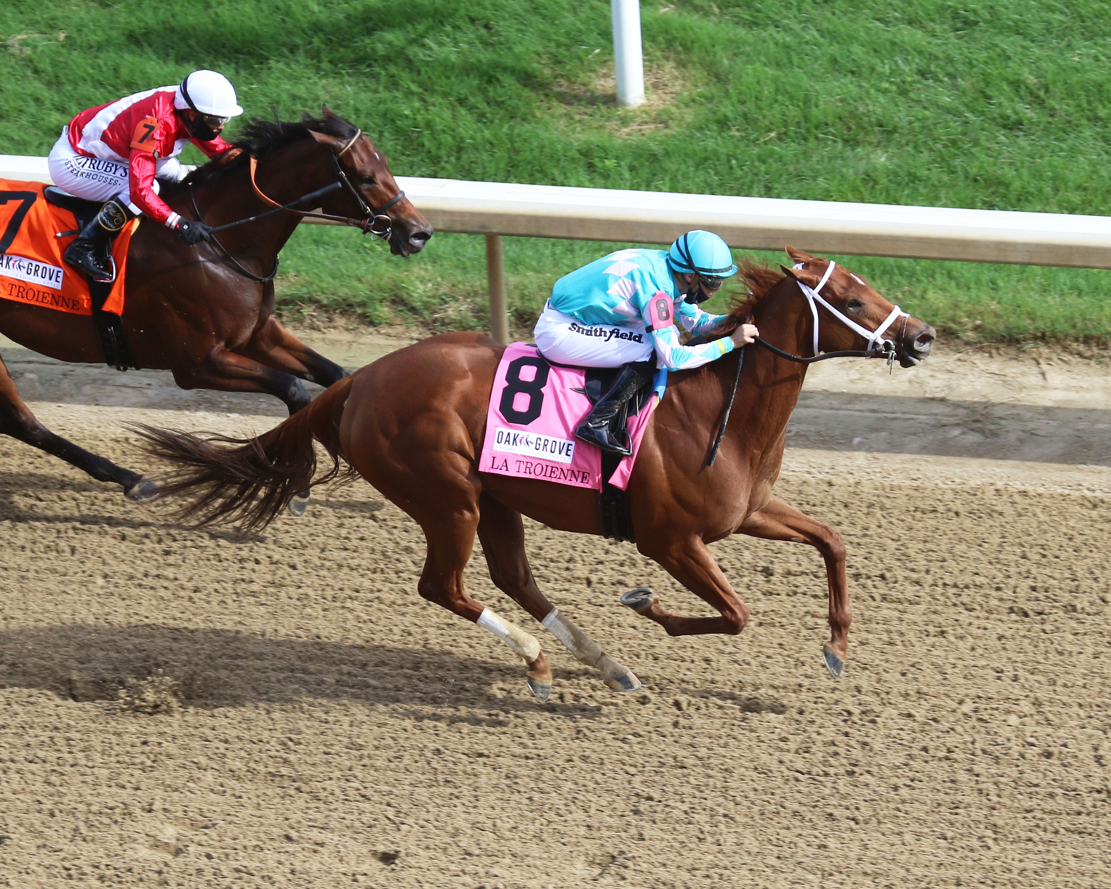 Monomoy Girl
