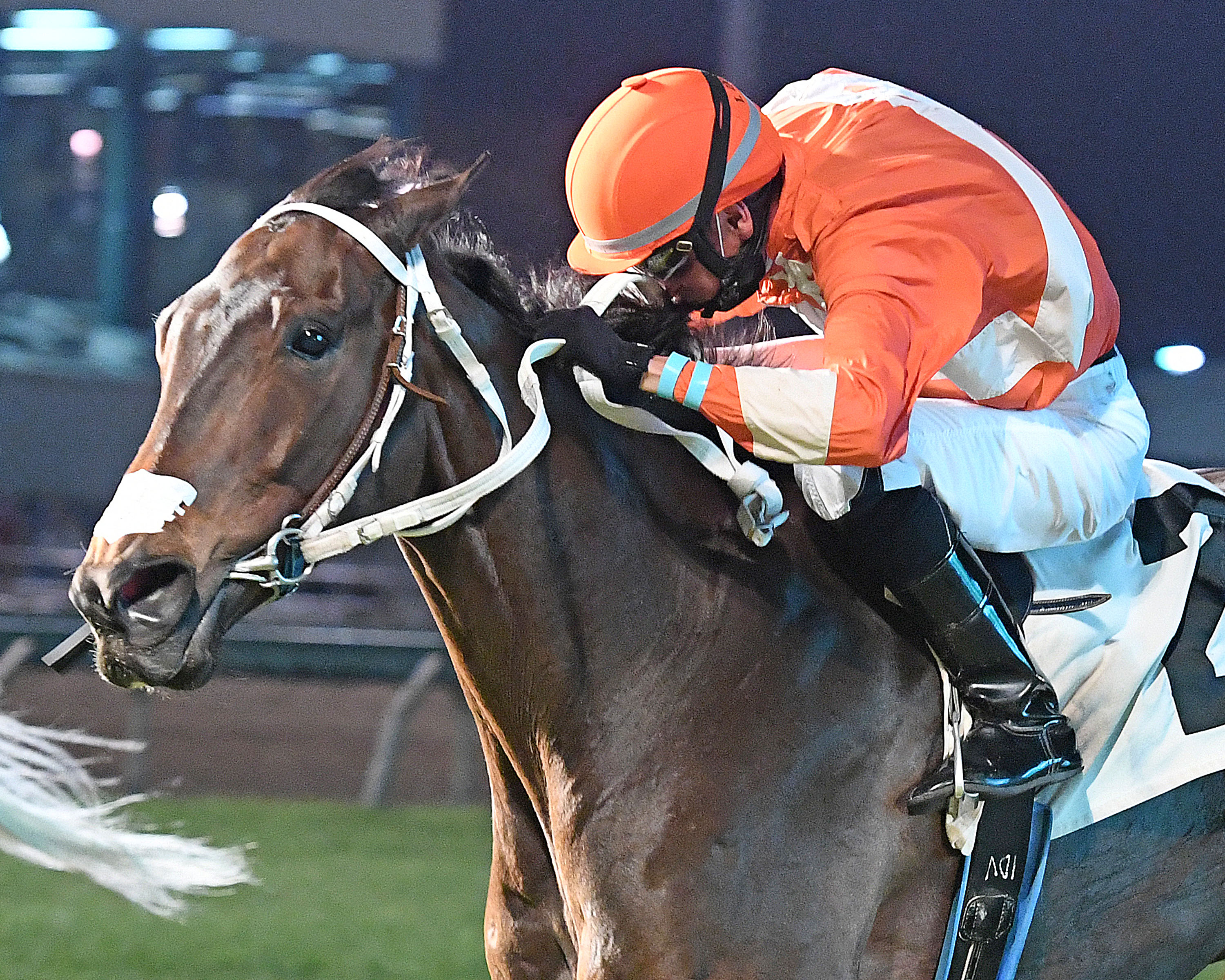 Moojab Jr wins Houston Turf Stakes 2-27-2021